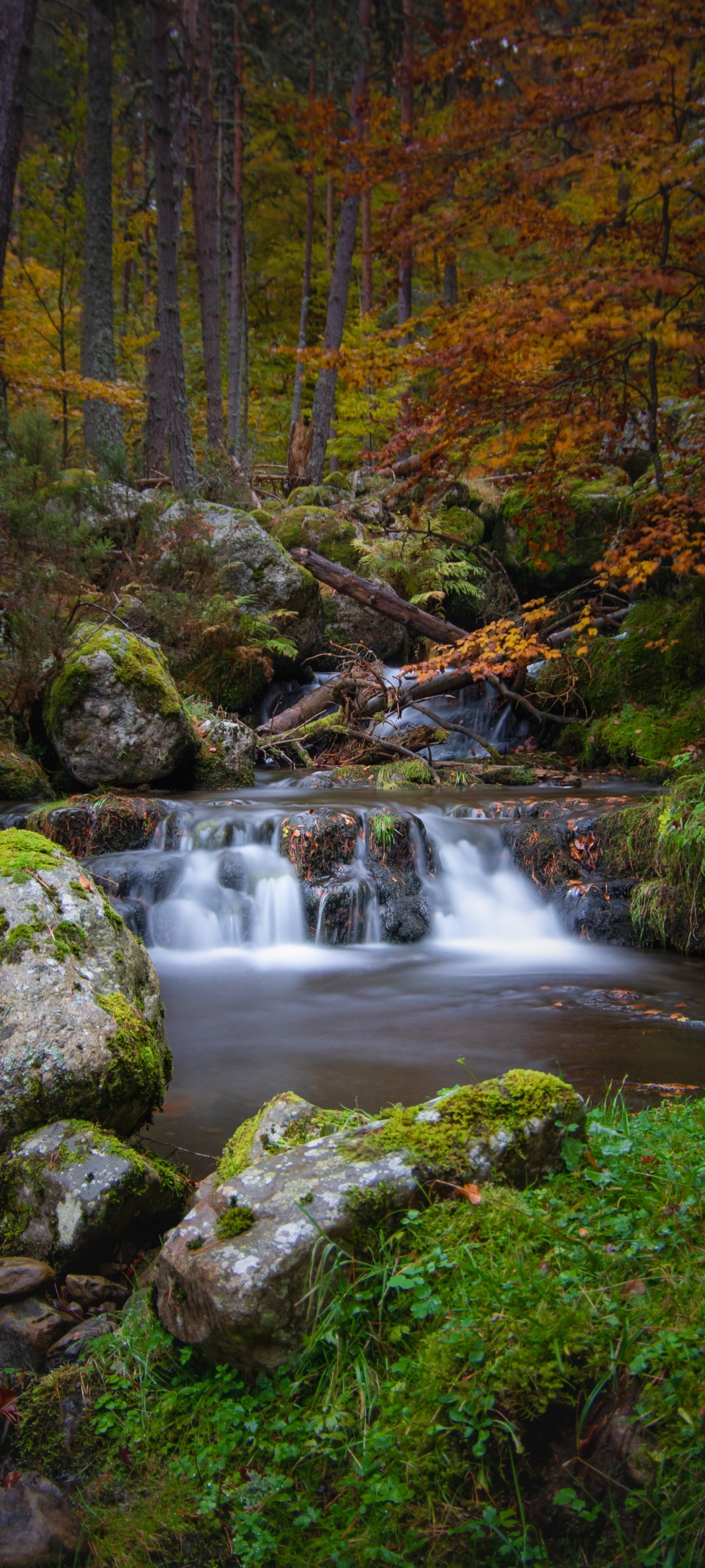 Waterfall Wallpaper 4K, Autumn, Foliage, Forest, Woods