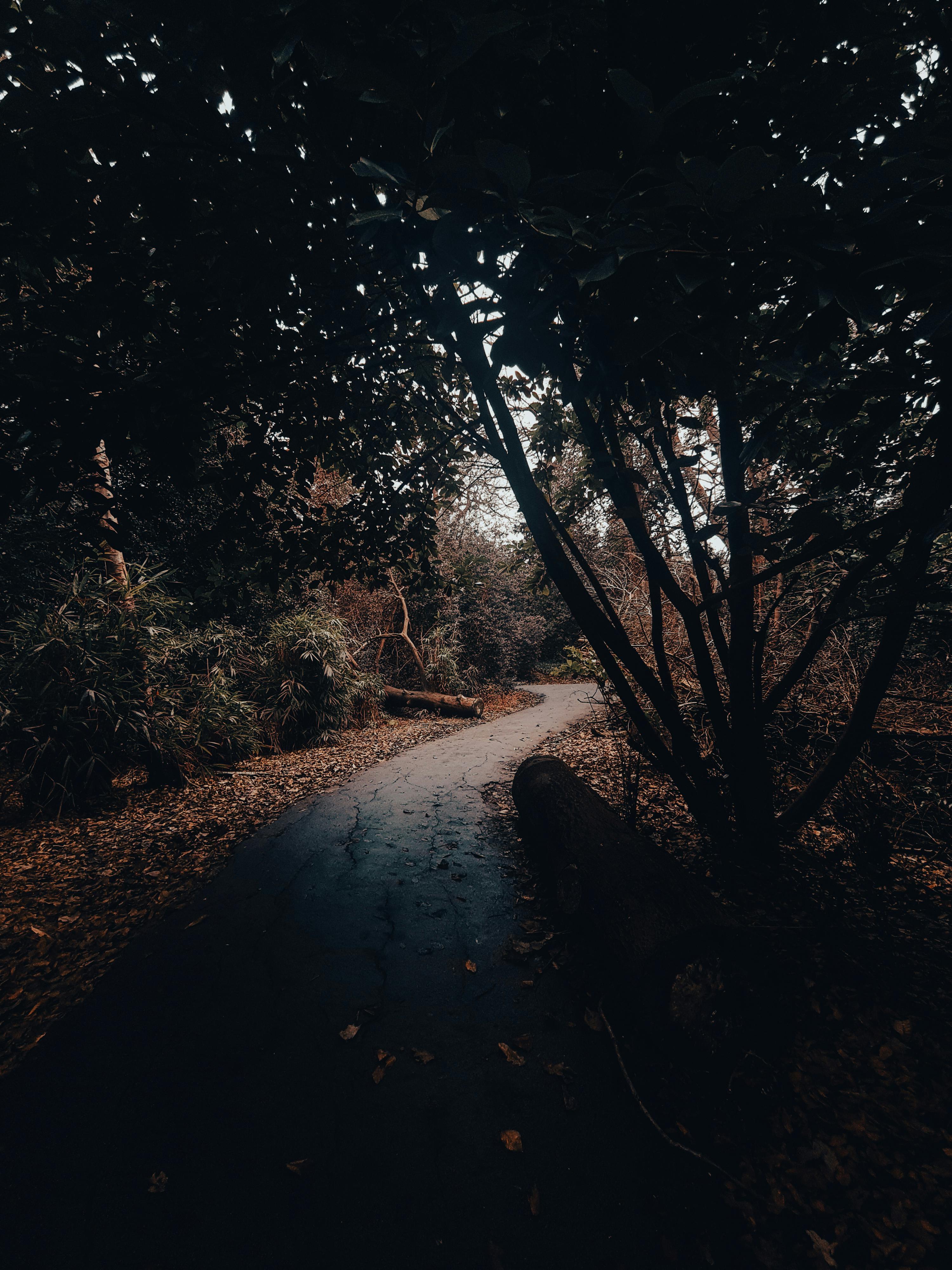 Road in Autumn · Free