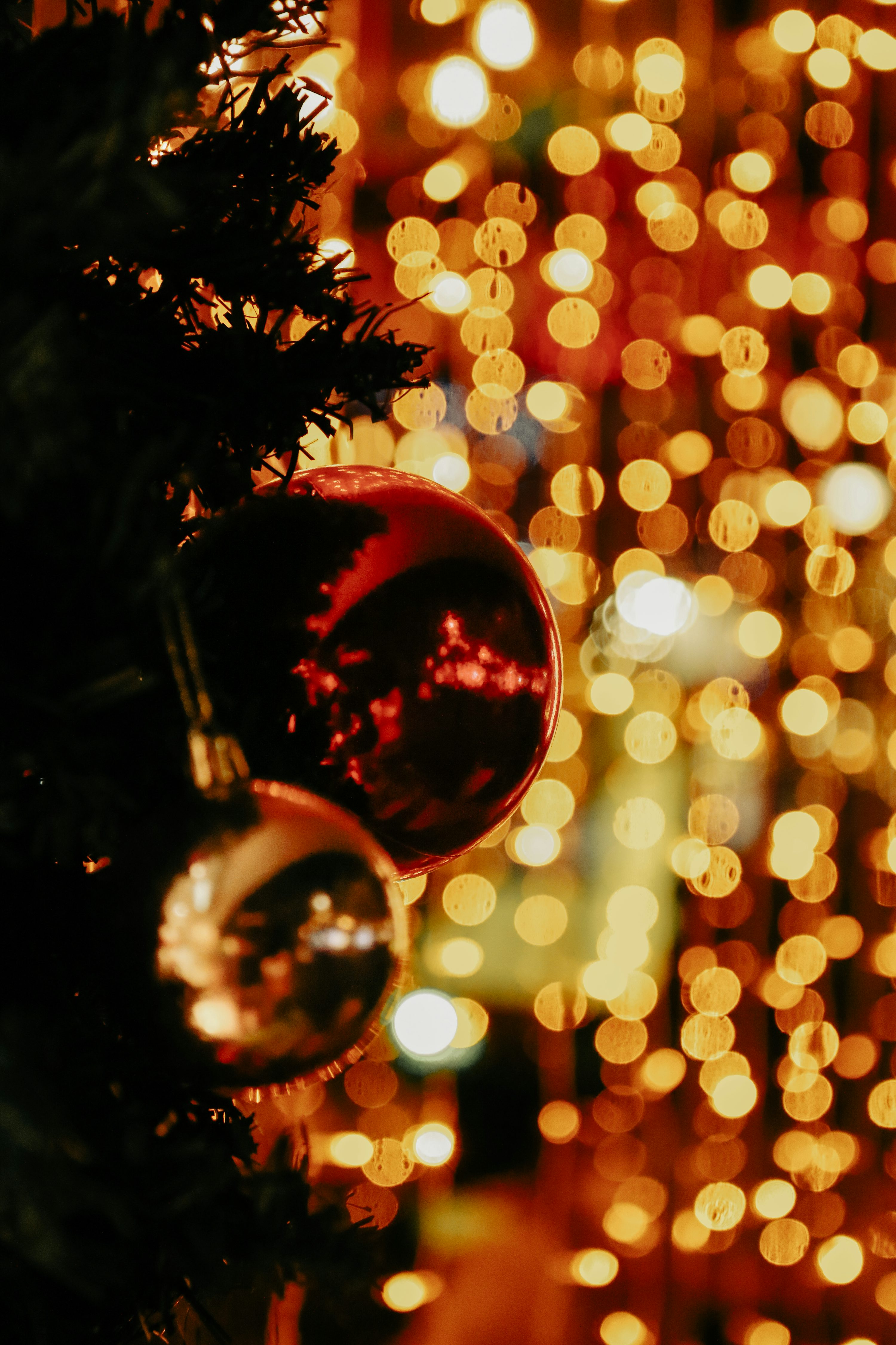 A close up of a christmas tree with lights in the background photo