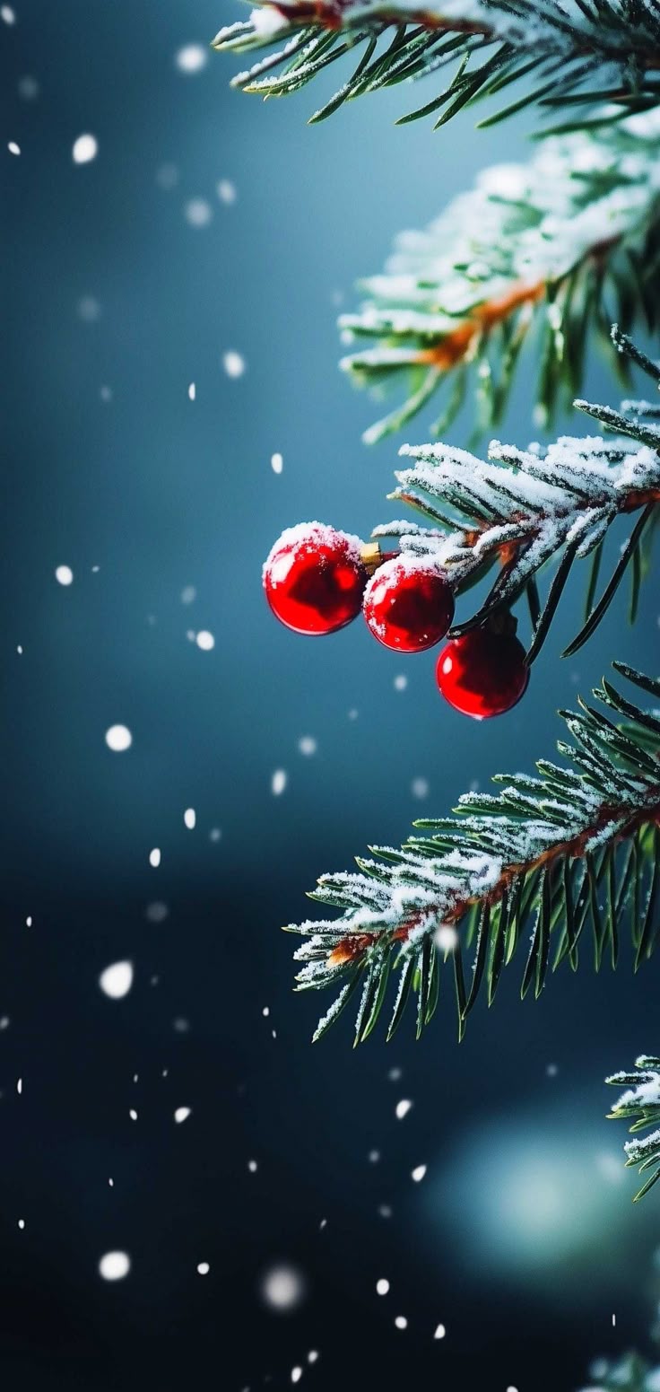 Minimalist Christmas Wallpaper To Deck Your iPhone With Simplicity