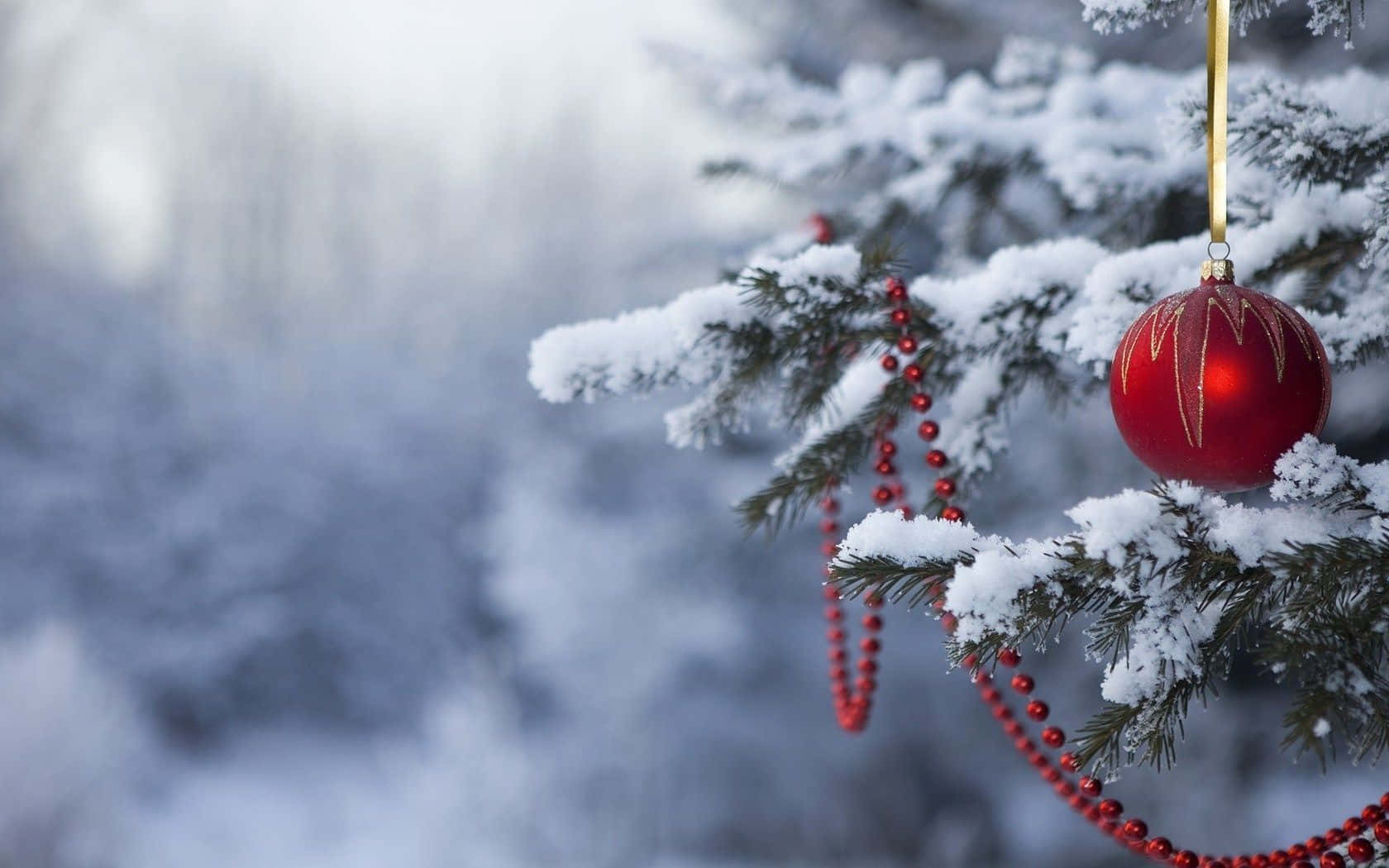 Download Red Christmas Ball In Snowy Christmas Tree Background