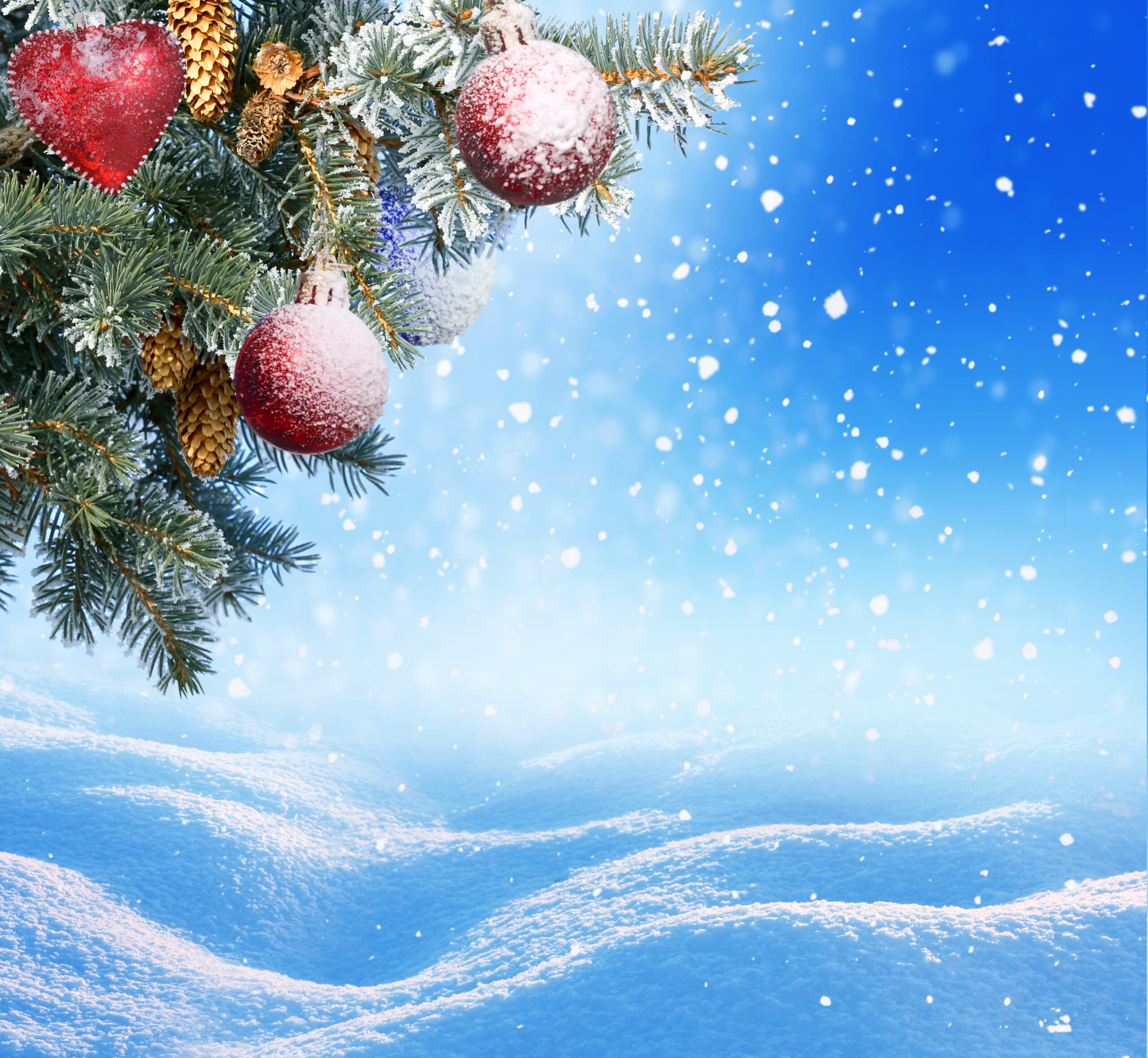 Christmas backdrop, winter background, fir tree corner red balls
