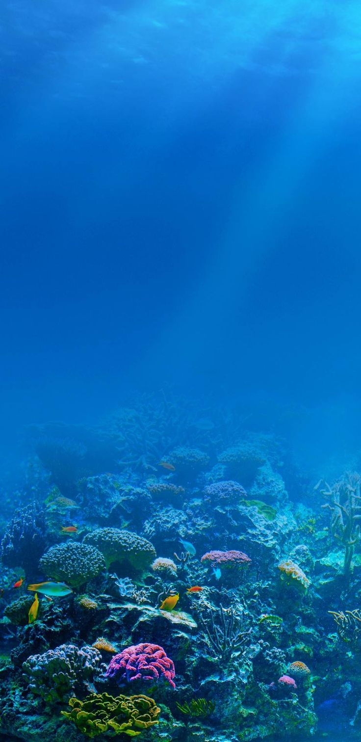 iPhone 16 WallpaperK Wallpaper for Apple