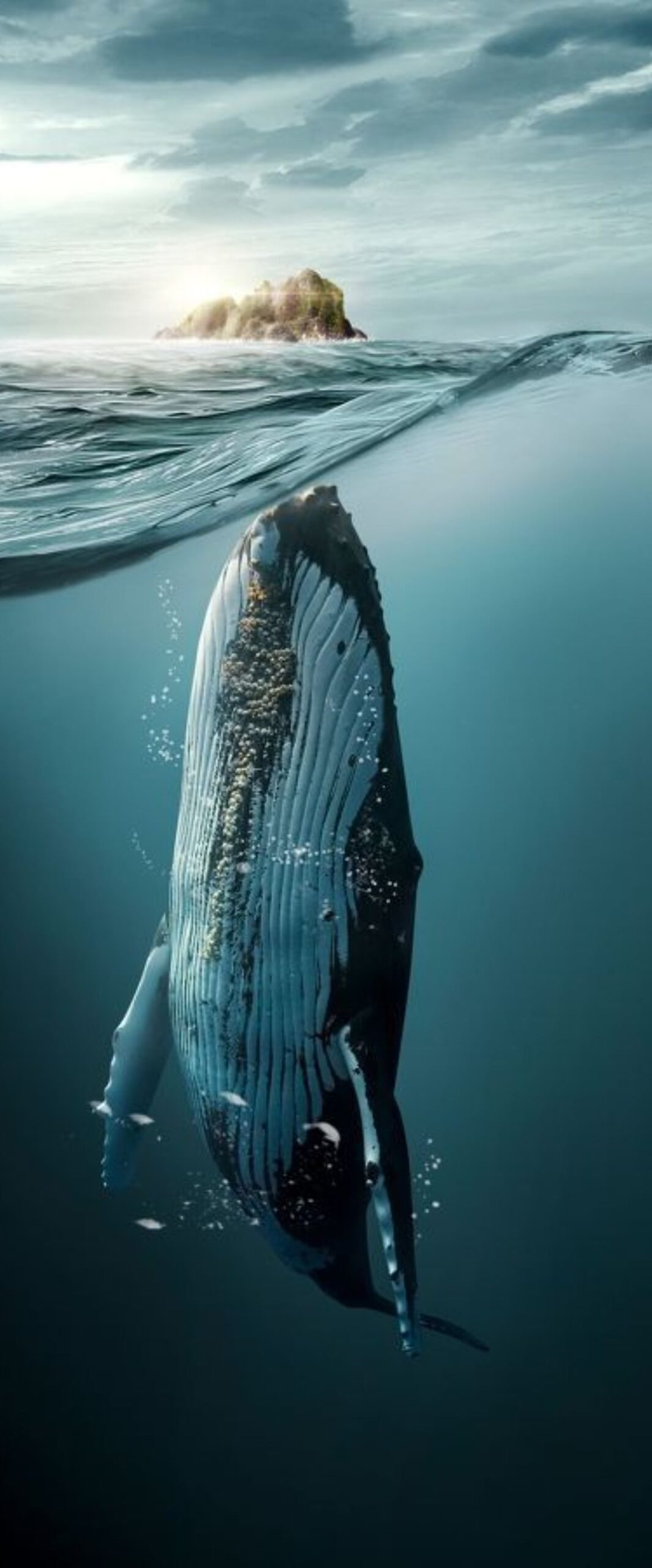 Best Underwater iPhone Wallpaper [ 4k & HD Quality ]