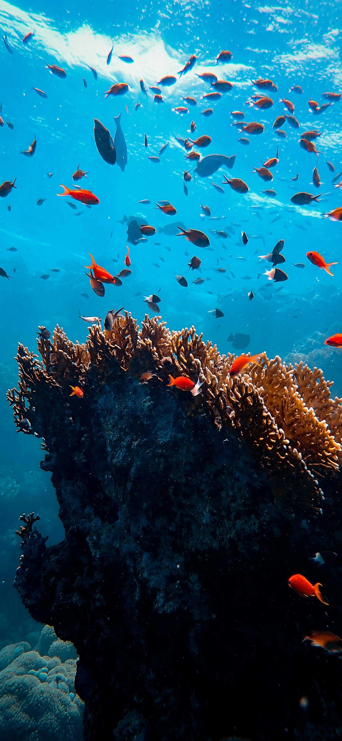 3D Wallpaper for iPhone 4k