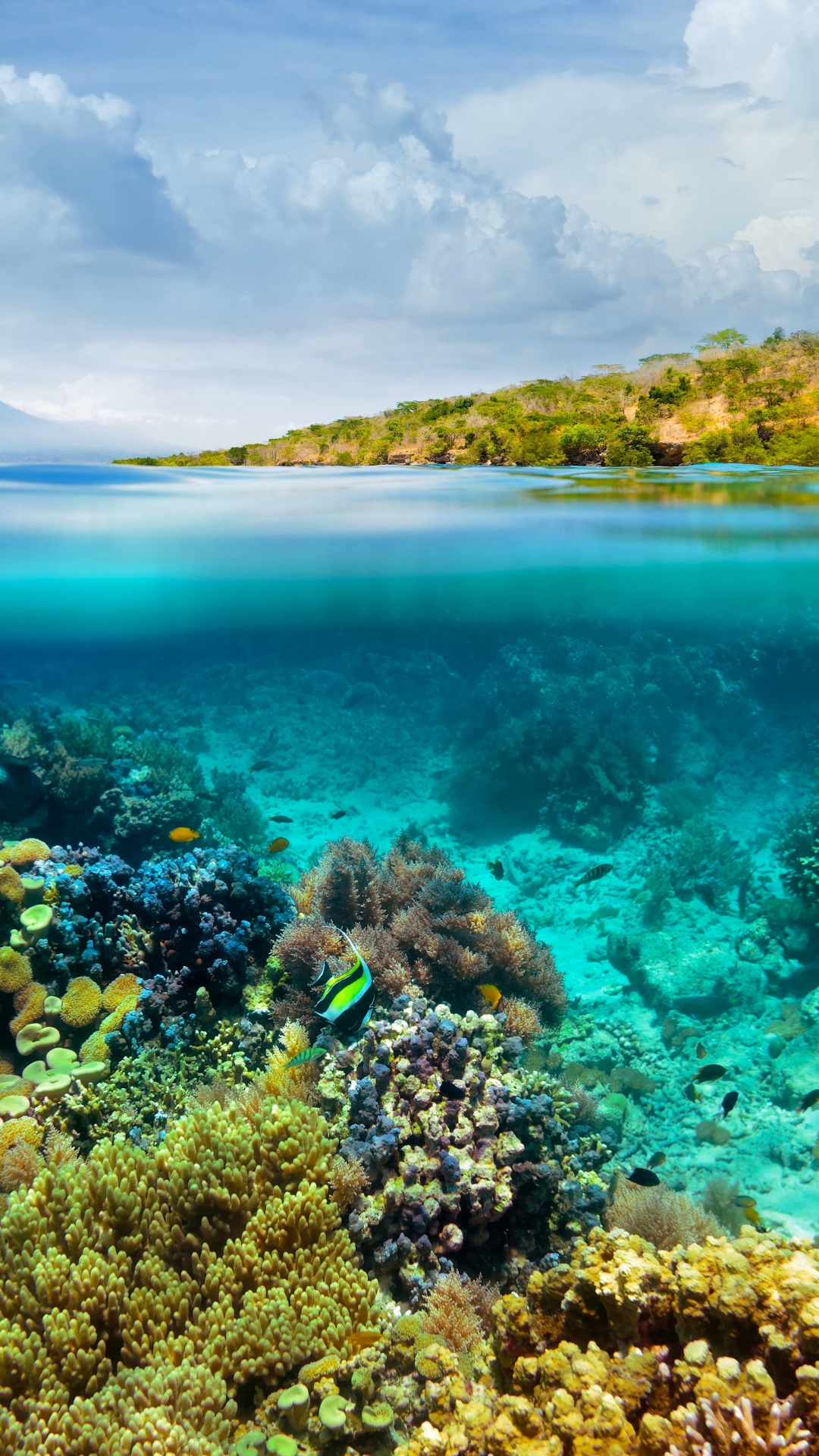 Half Underwater Half Above Water Photography 4K UHD Wallpaper for UltraHD Desktop and TV, Widescreen and UltraWide Display, Smartphone and Tablet Devices