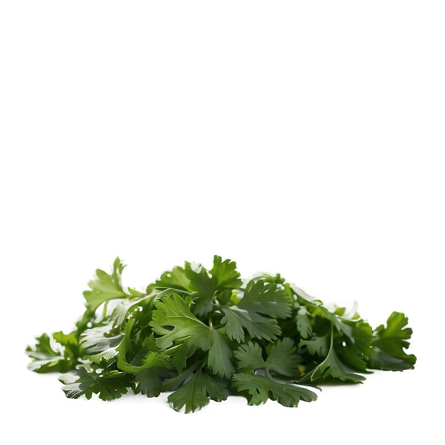 Download Chopped Cilantro Png Lif6