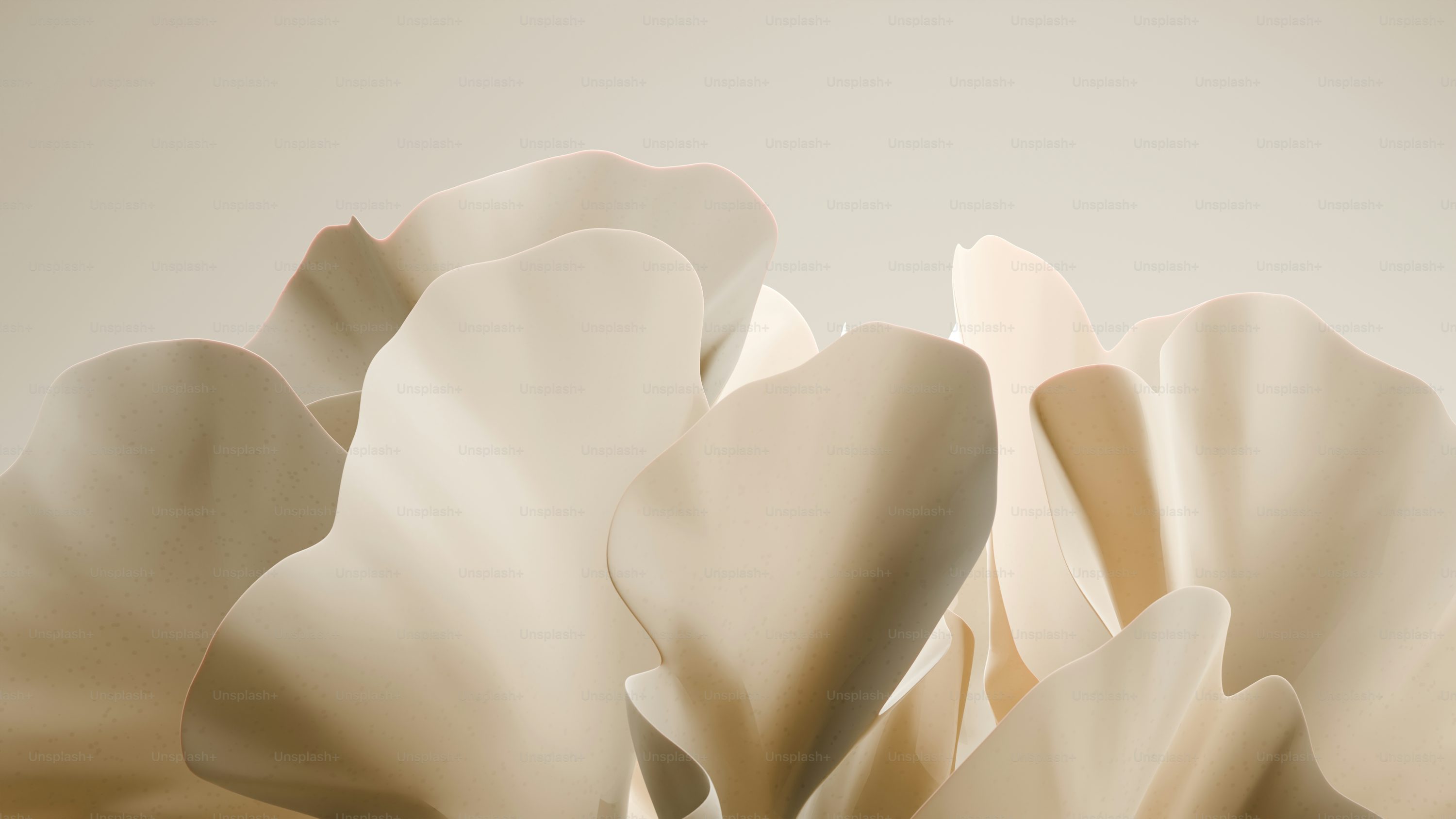 Beige Wallpaper Picture. Download Free Image