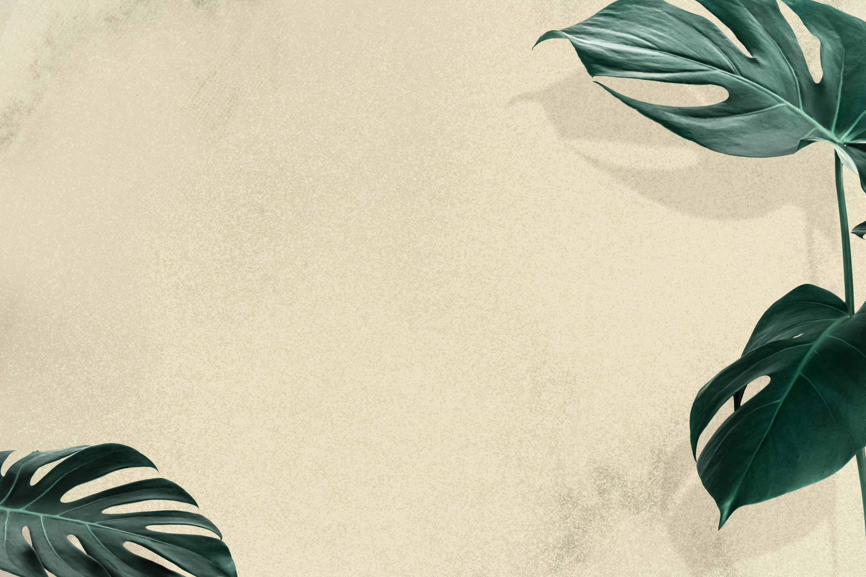 Beige Wallpaper Picture. Download Free Image