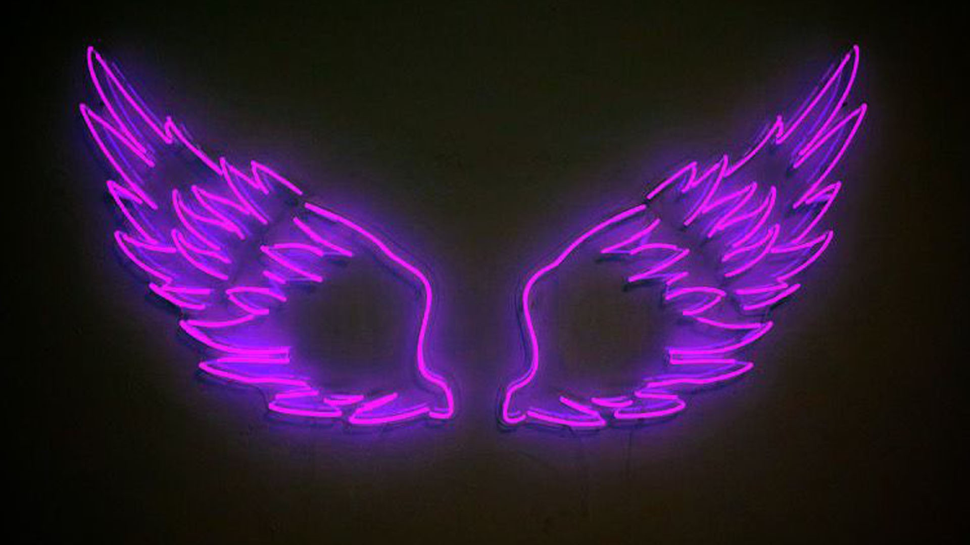 Purple Aesthetic Neon Lights Wings Black Background HD Purple Aesthetic Wallpaper