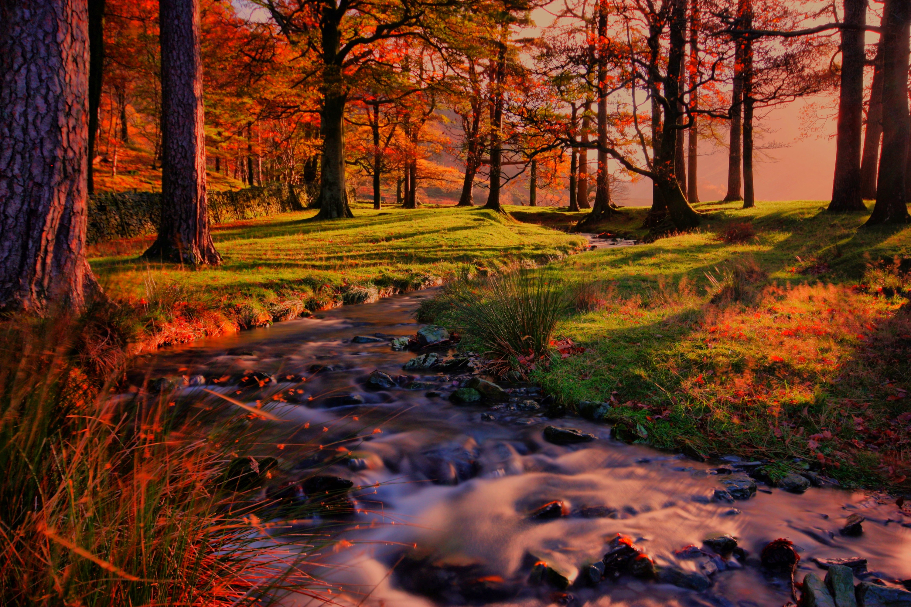 Autumn Serenity: Riverside Trees in a Vibrant Park