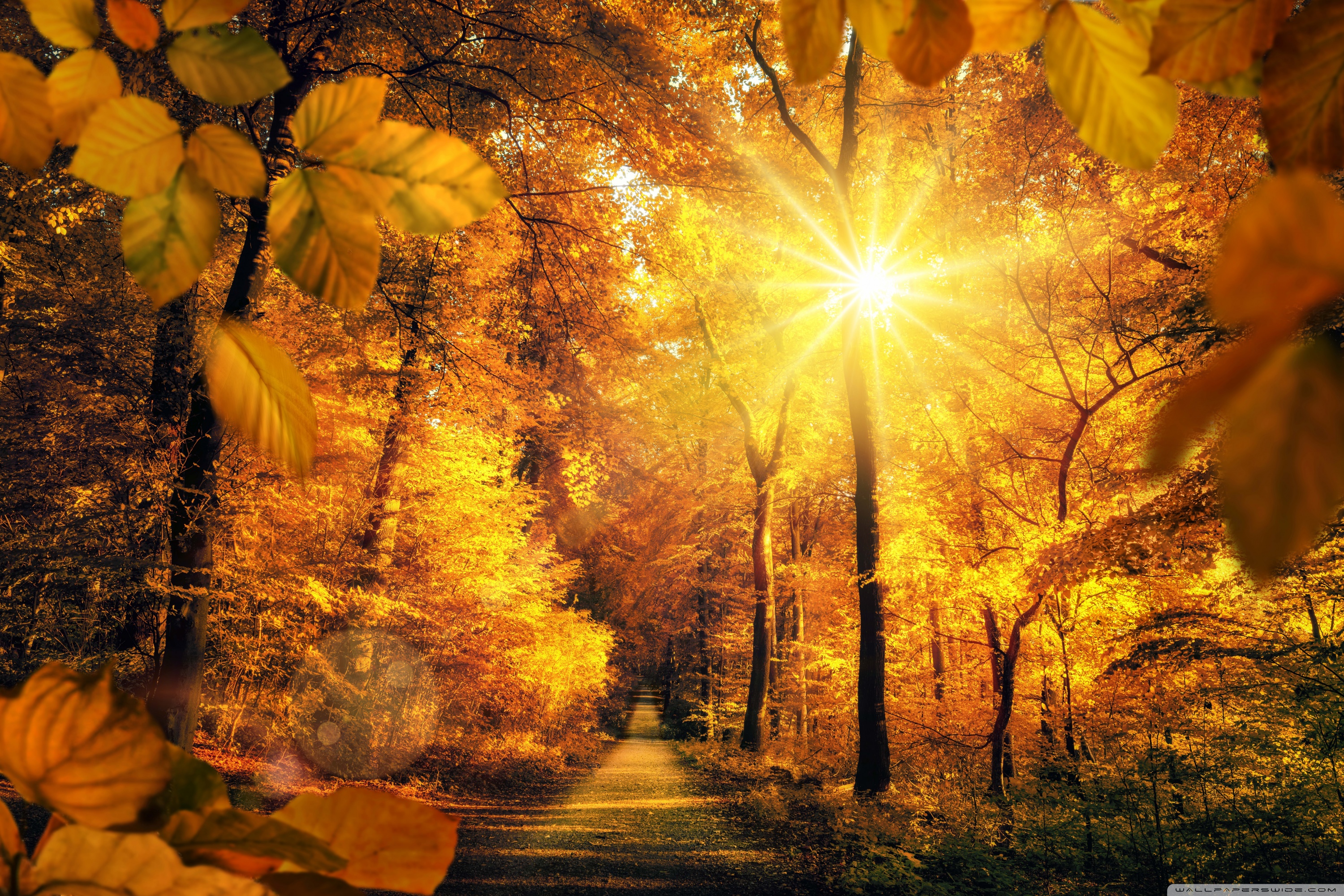 Peaceful Autumn Scene 4K UHD Wallpaper for UltraHD Desktop and TV, Widescreen and UltraWide Display
