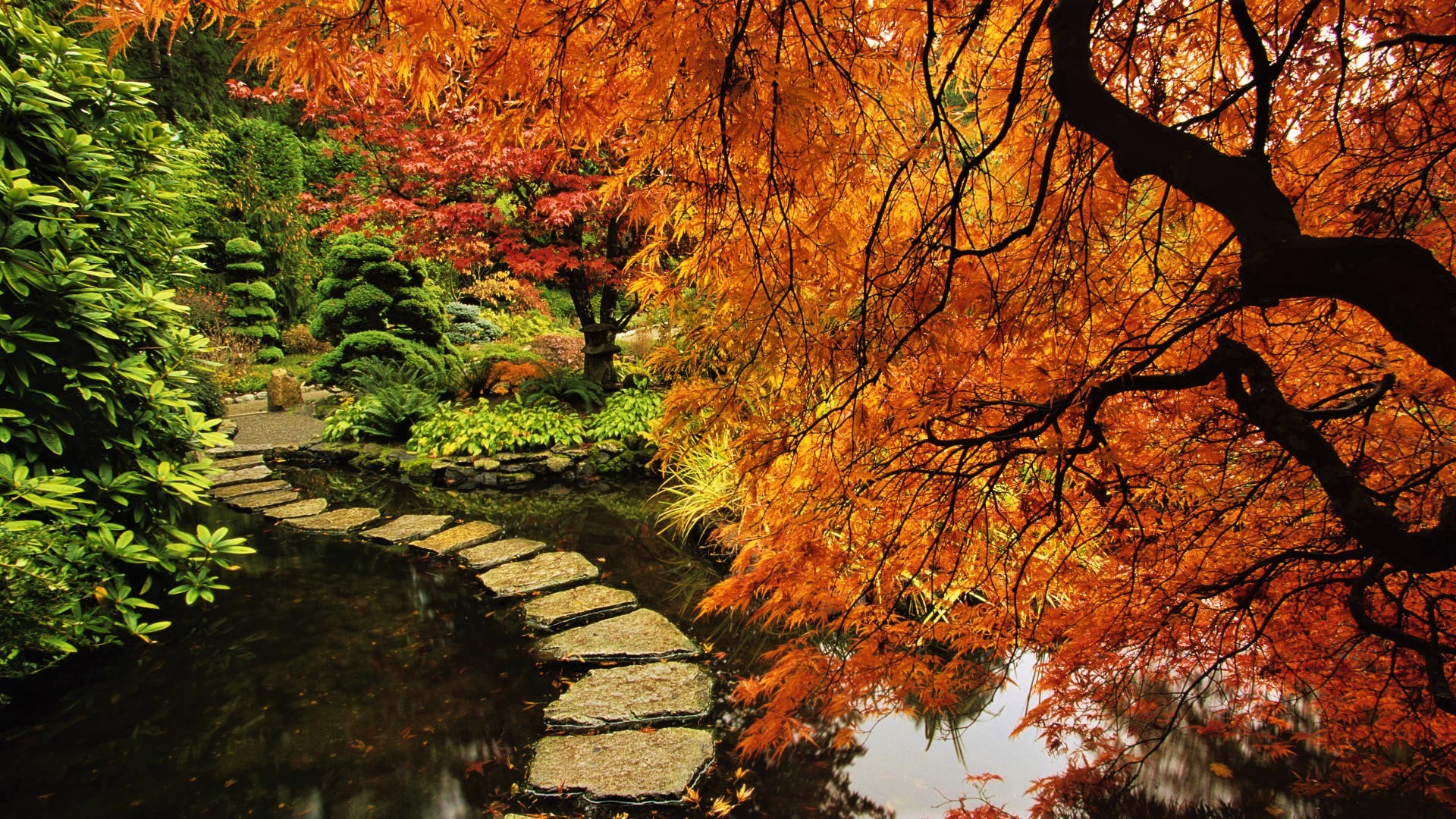 Autumn Serenity: Man Made Garden Path Through Vibrant Fall Trees HD Wallpaper