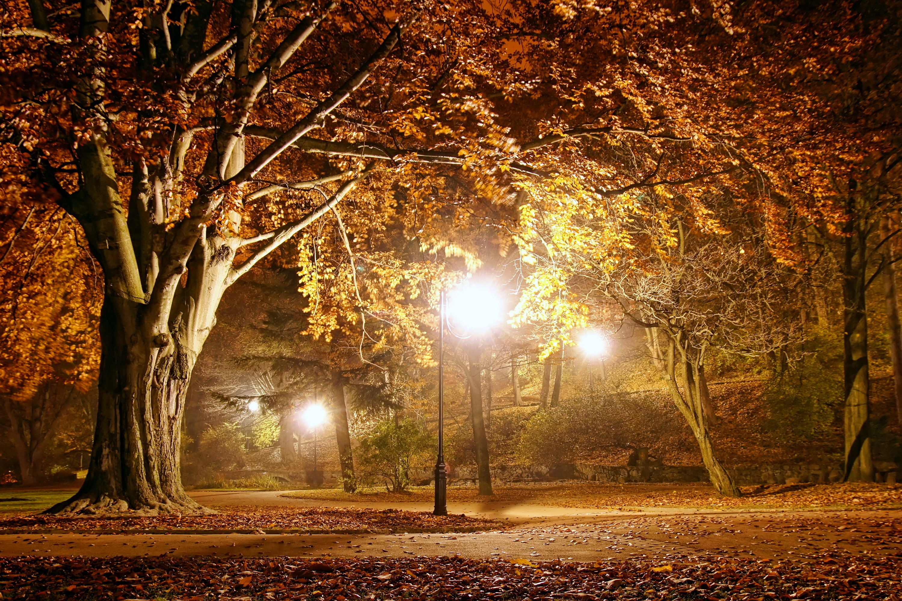 Wallpaper autumn, landscape, lights, Park, the evening, night, park, autumn for mobile and desktop, section природа, resolution 3000x2000