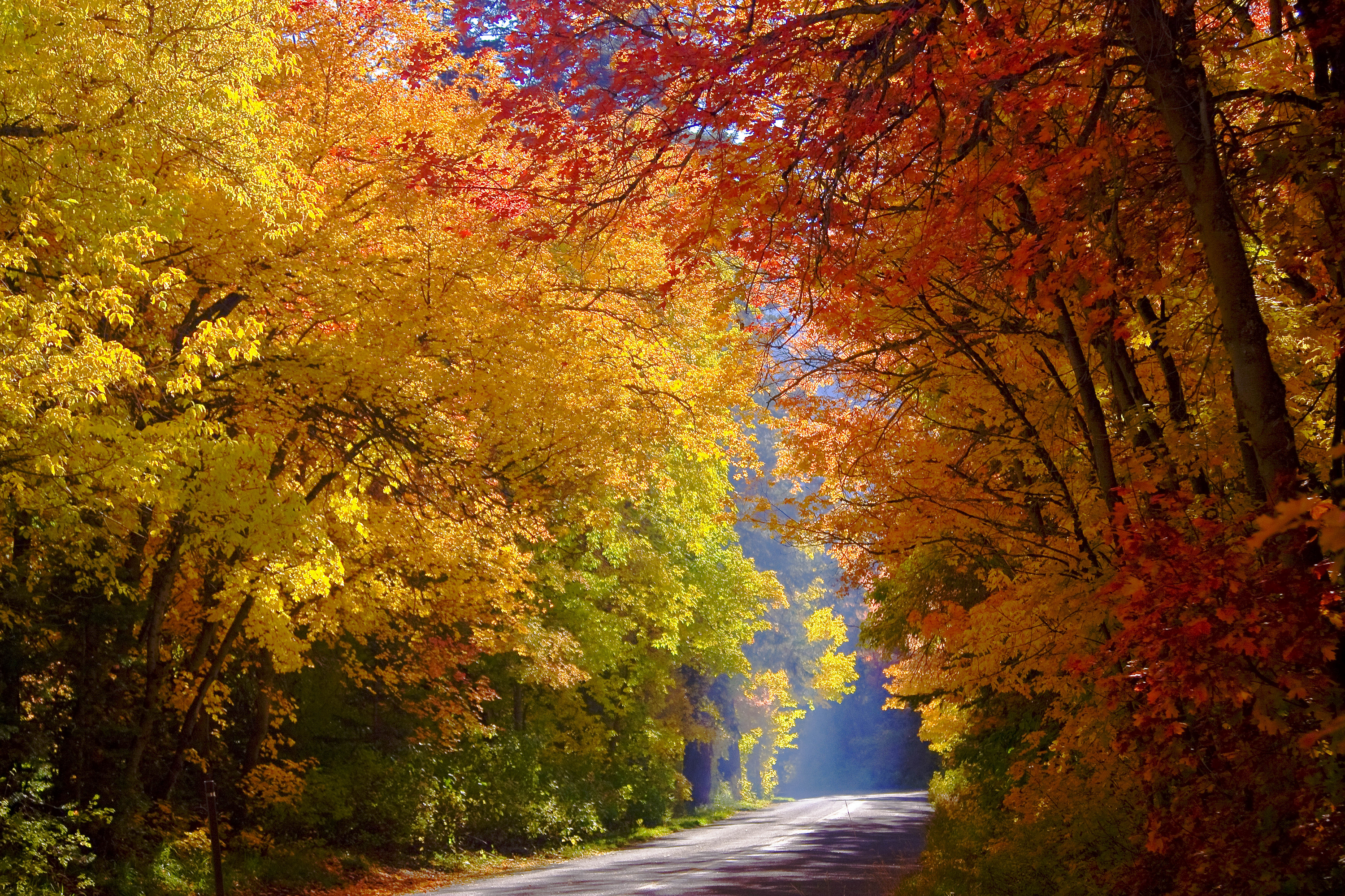 Picture Autumn Nature Roads Forests Trees 3000x2000