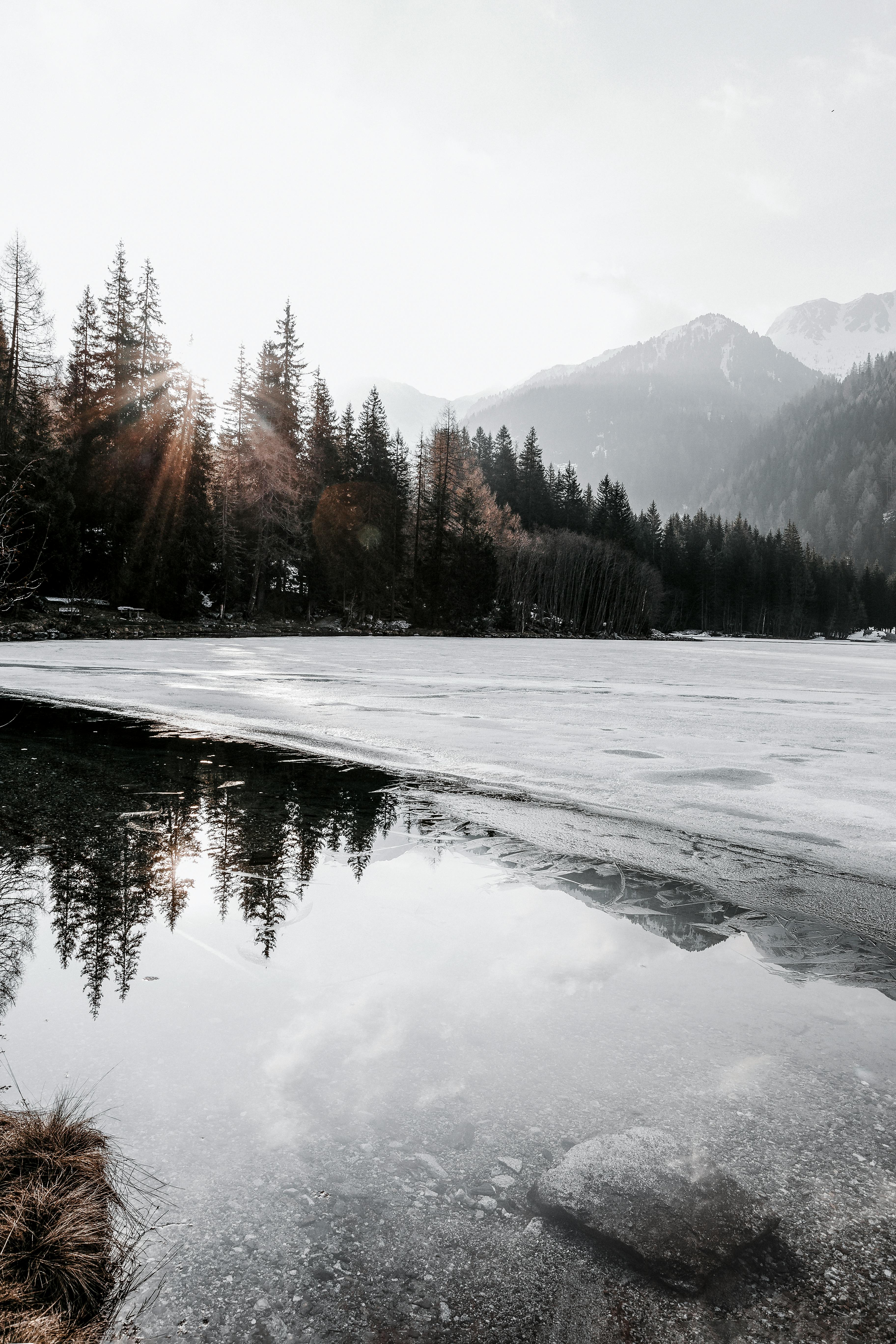 Winter Landscape Photo, Download The BEST Free Winter Landscape & HD Image