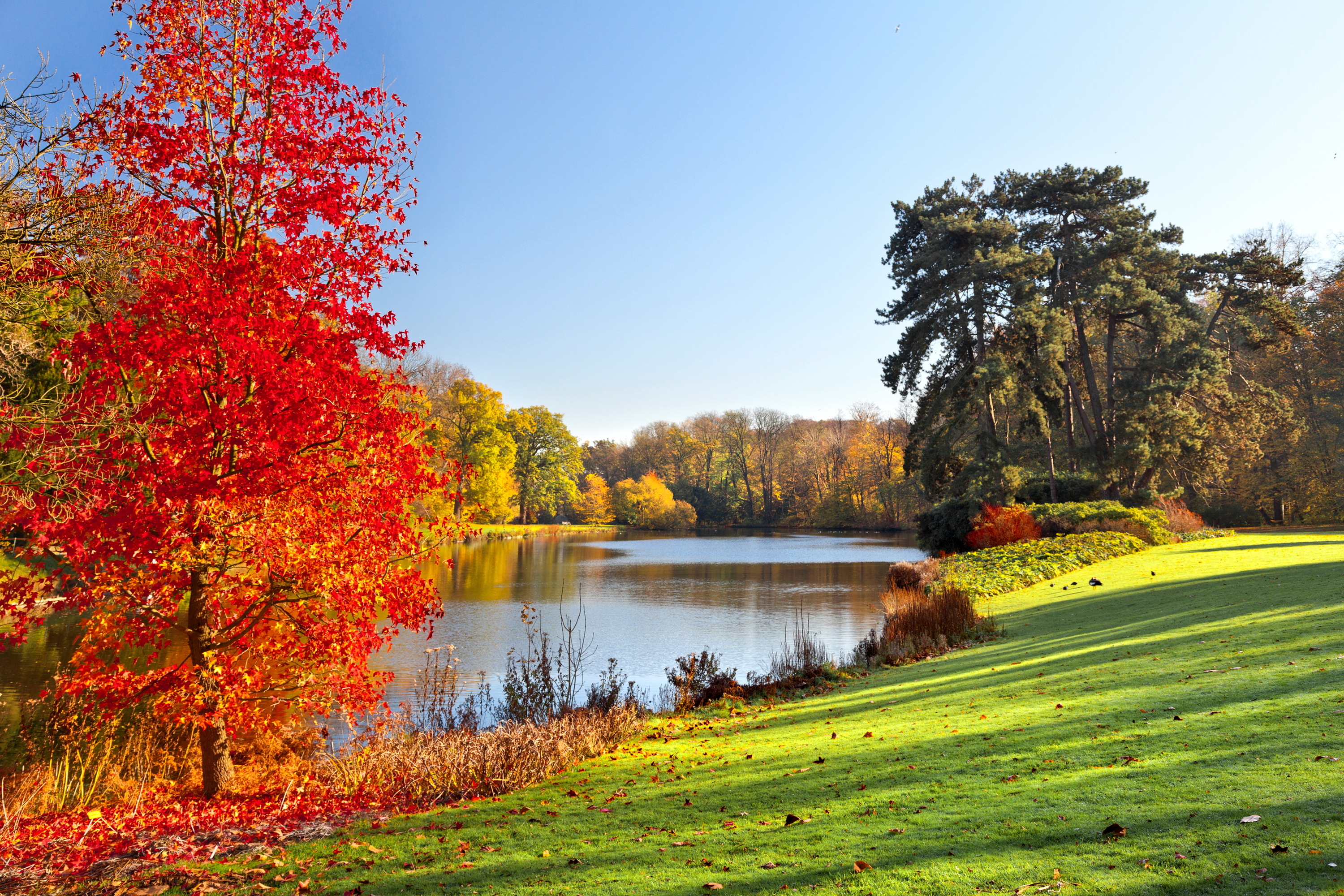 Wallpaper autumn, landscape, lake, Park, landscape, park, autumn, lake for mobile and desktop, section природа, resolution 3000x2000