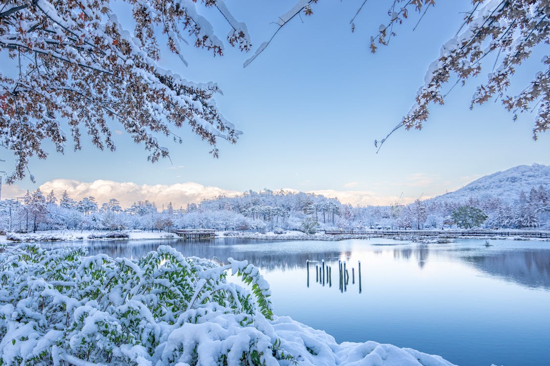 Tranquil Winter Landscape in Seoul · Free