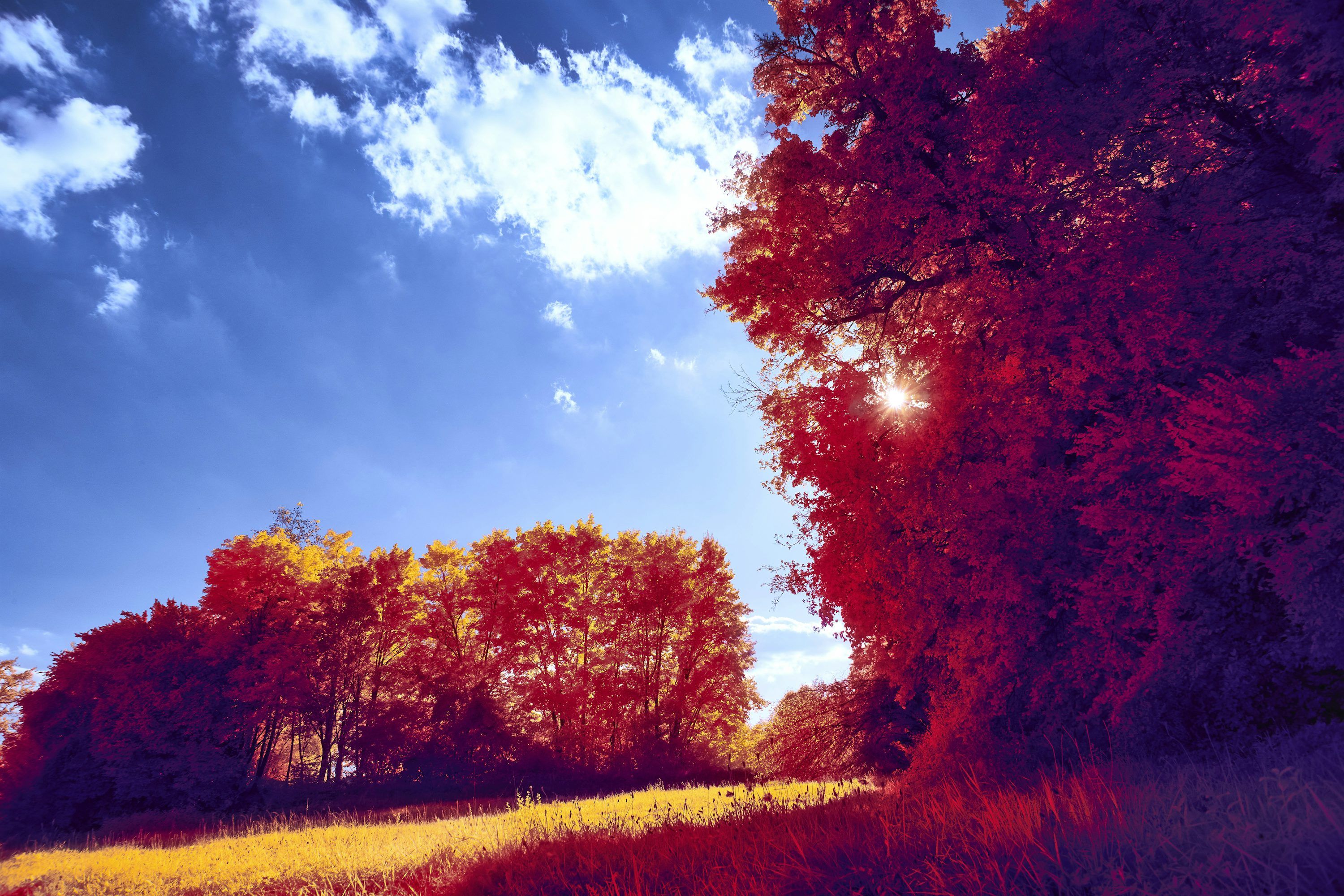 Sunny Autumn Wallpaper, HD Sunny Autumn Background on WallpaperBat