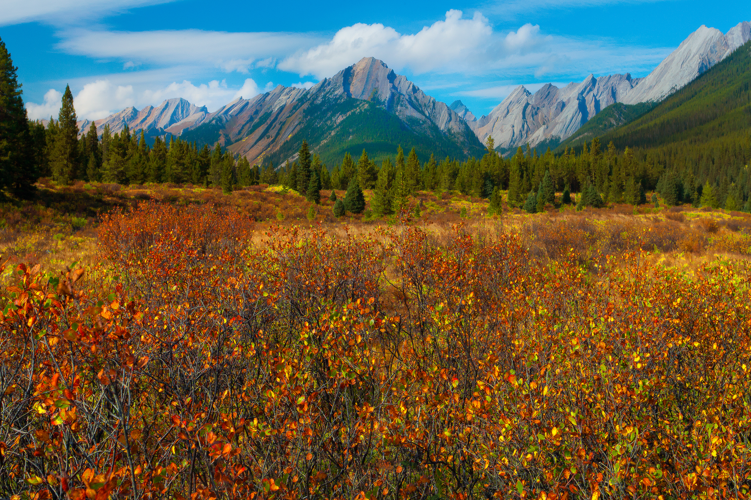 Wallpaper autumn, forest, the sky, grass, leaves, trees, mountains, meadow for mobile and desktop, section природа, resolution 3000x2000