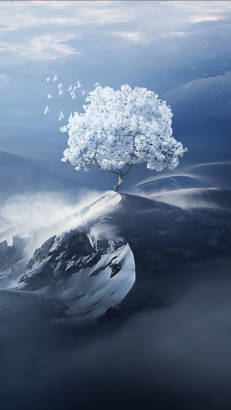 Winter Landscape 4K Wallpaper