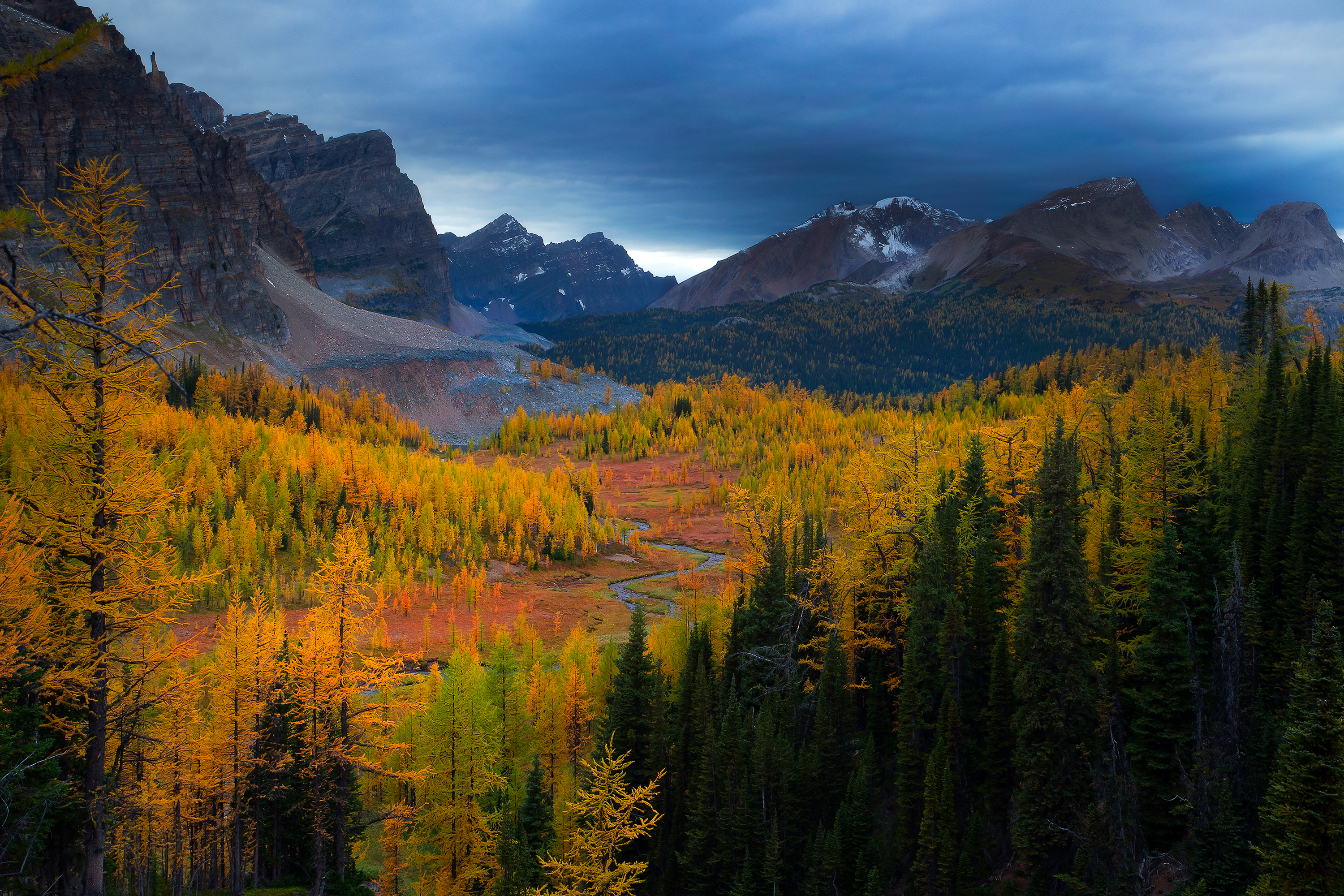 Download Mountain Tree Fall Nature Landscape HD Wallpaper
