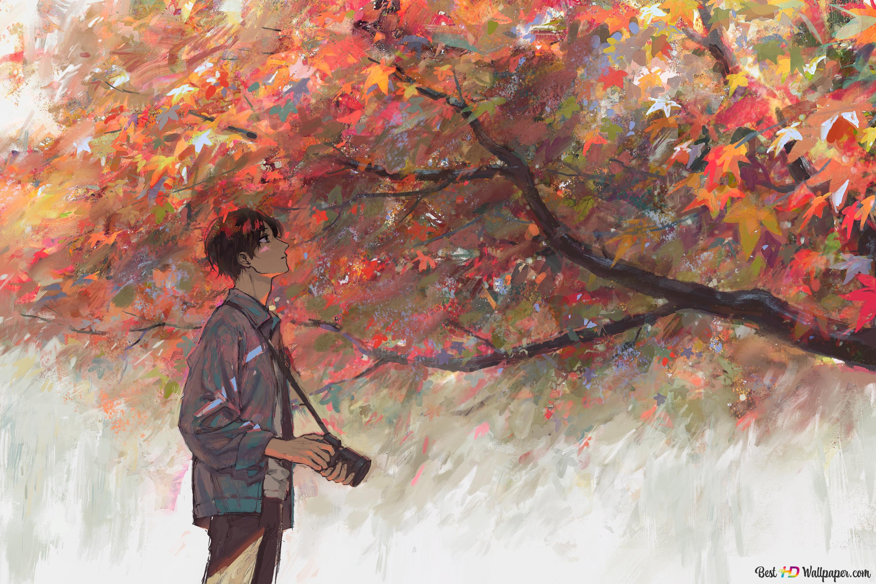 Autumn Season Photography 4K wallpaper download