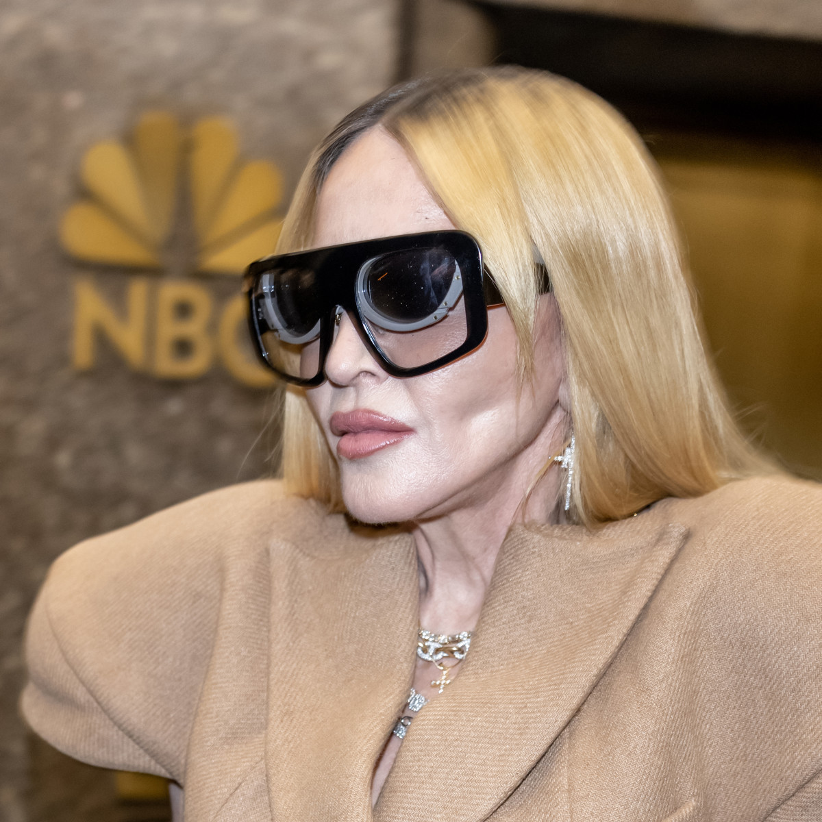 Madonna Does Not Look 66 Years Old In Viral New Photo's Journal