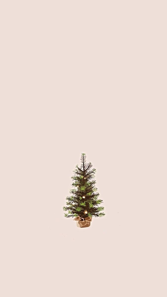 Christmas Wallpaper with Small Pine Tree