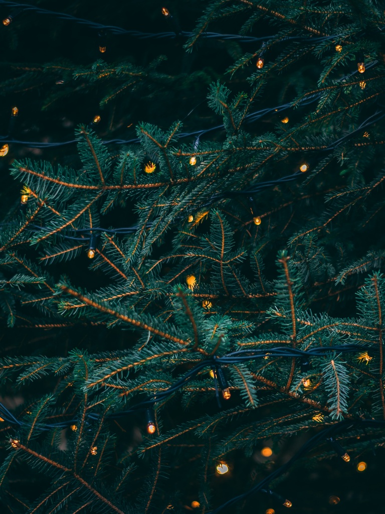 Pine trees Wallpaper 4K, Decoration, LED lights