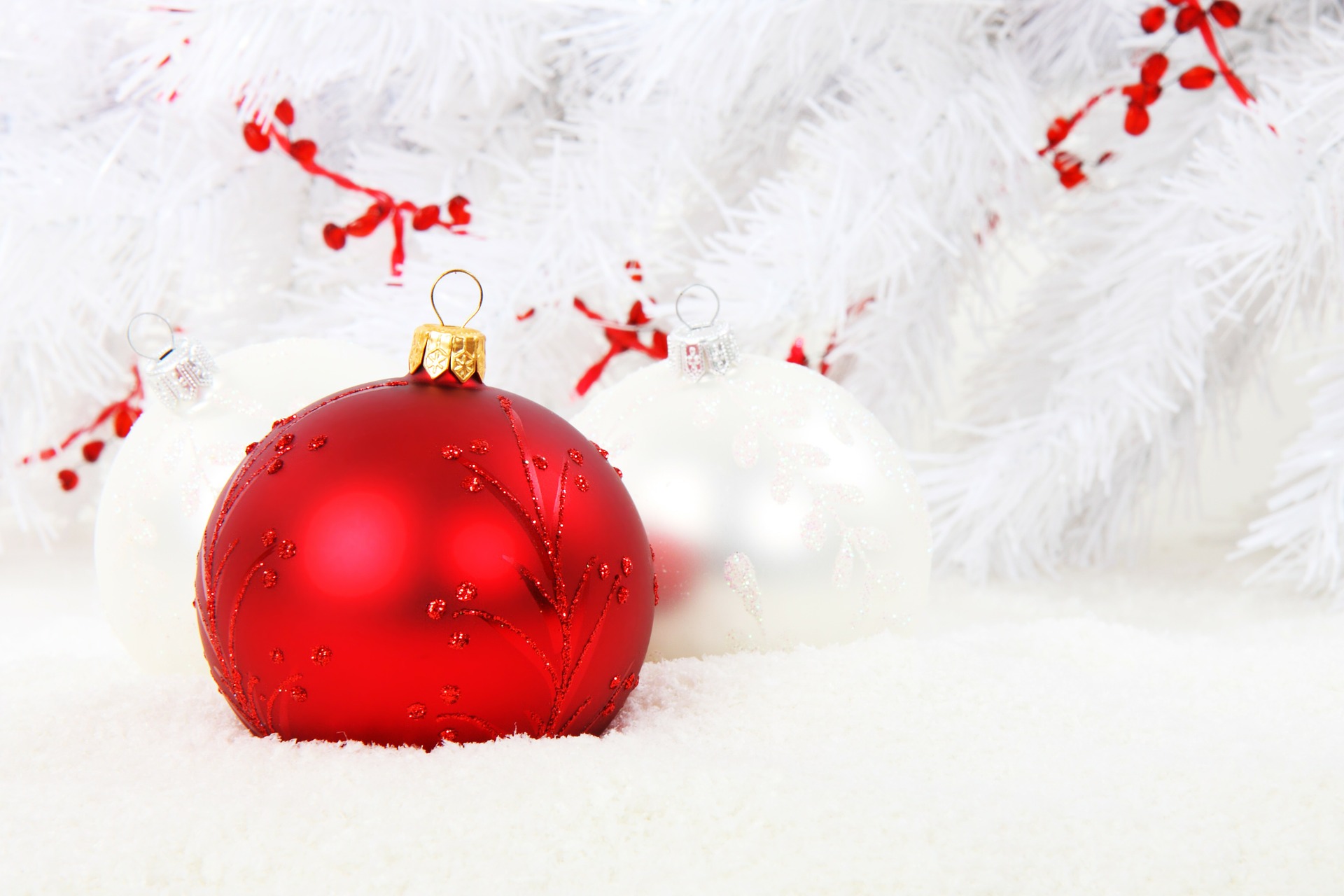 White Tree with Red Ornaments Background (Free)
