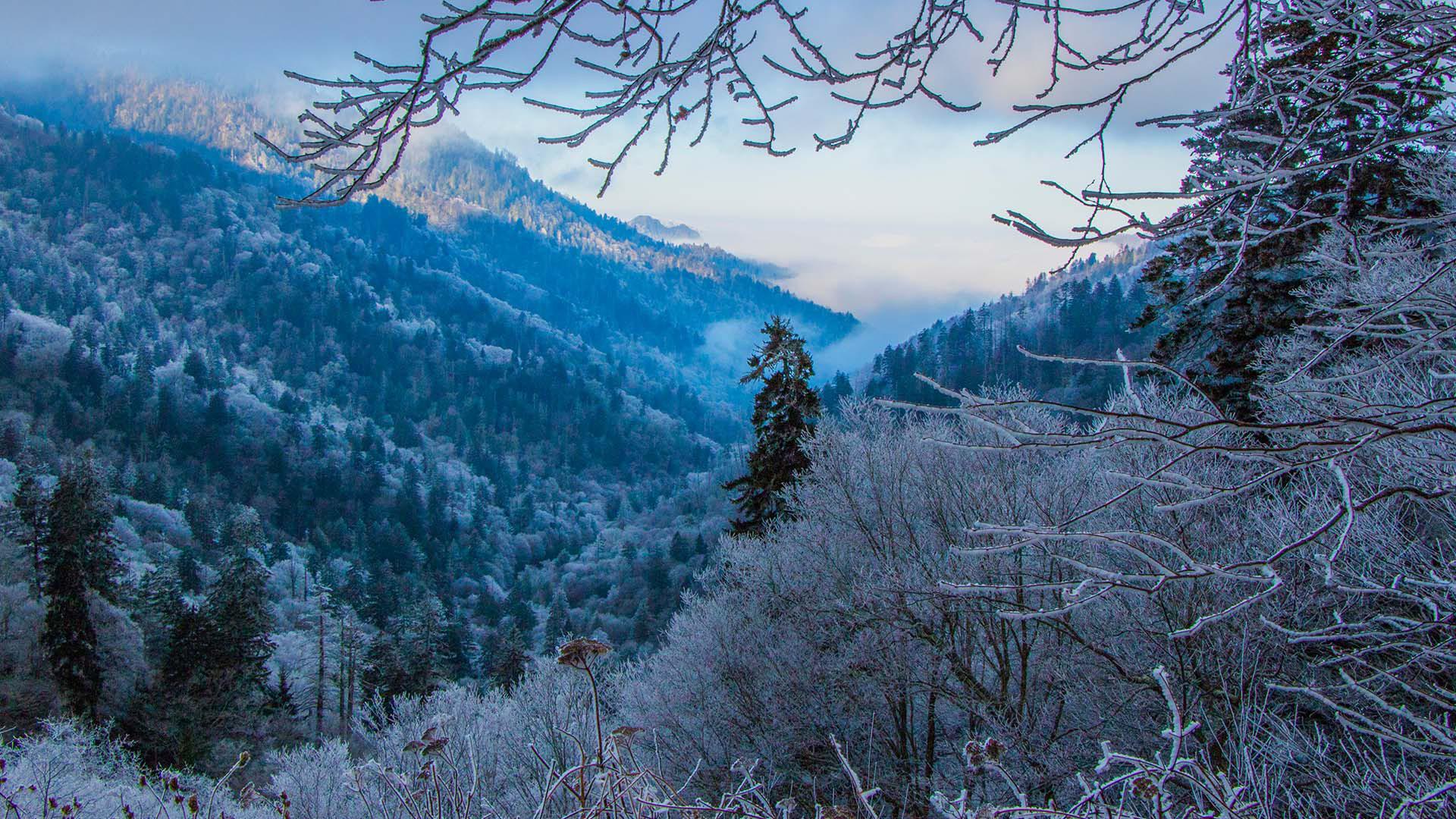 A Cold View of the Tennessee & North Carolina border in the Great Smoky Mountains National Park