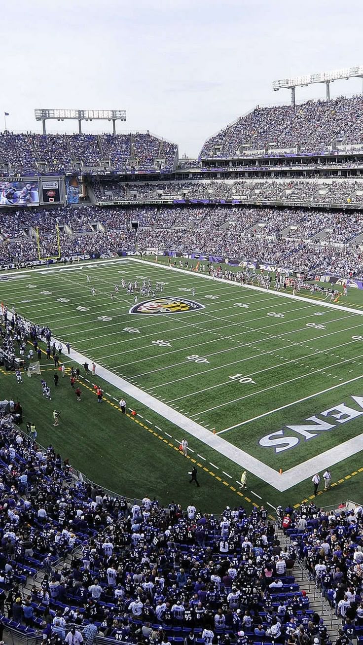 Wallpaper Baltimore Ravens iPhone