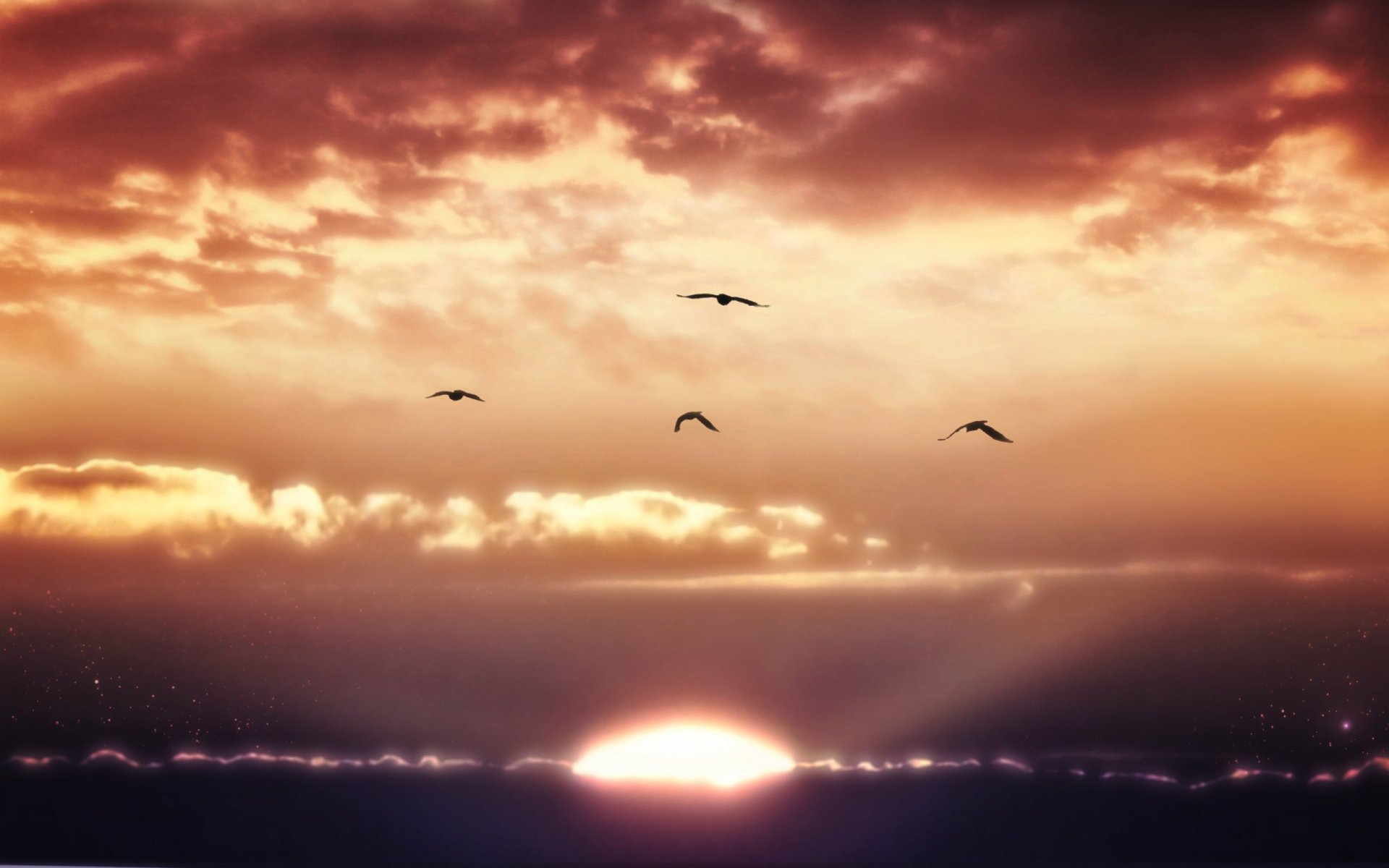 Majestic Sunset Flight: HD Nature Wallpaper