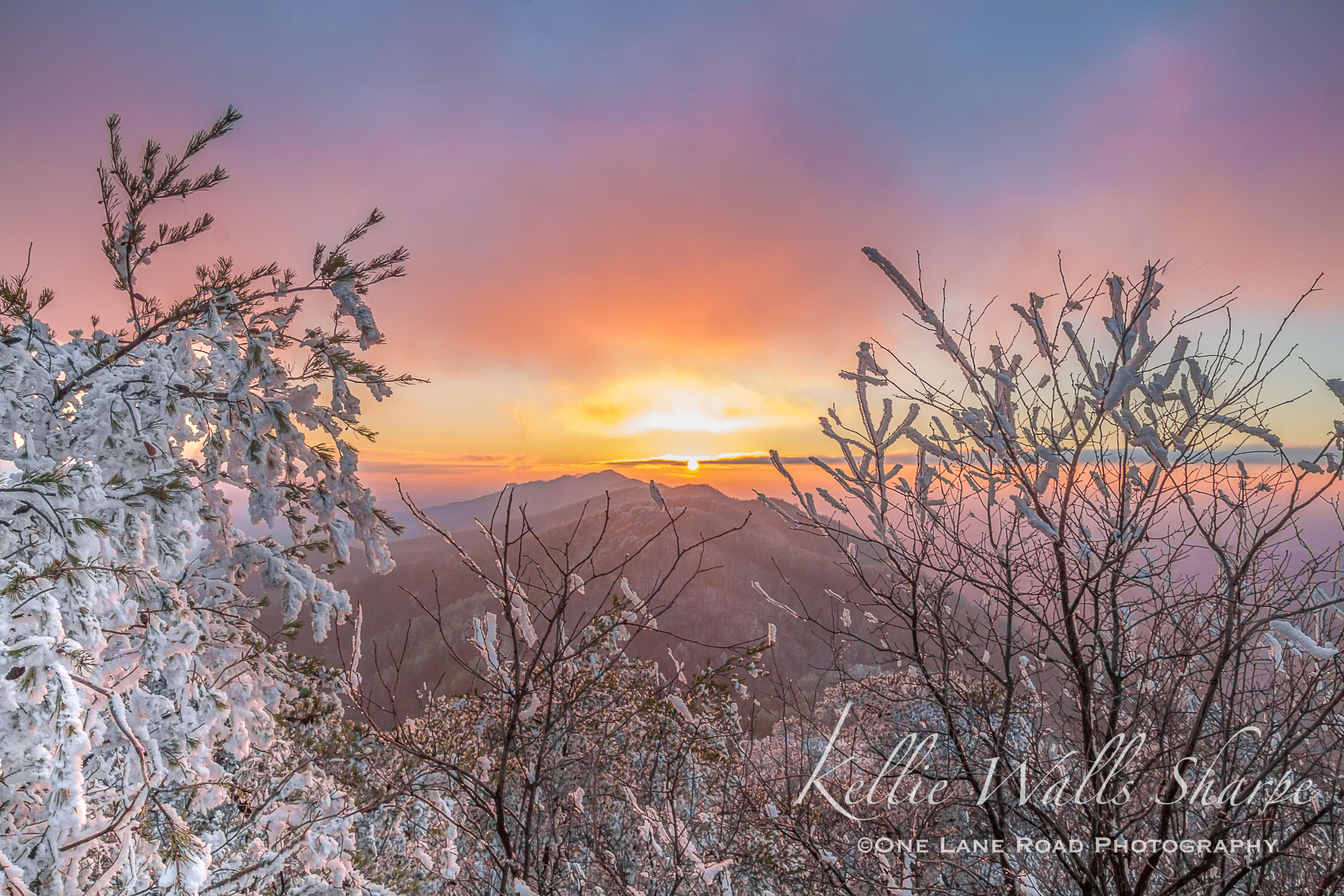 Rime Ice. Great Smoky Mountain. East Tennessee. [OC][3648x5472]