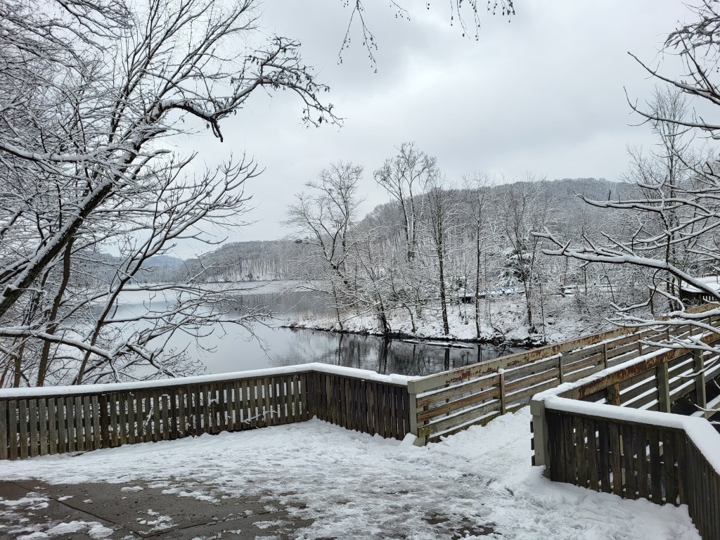 Exploring Snowy Radnor Lake: A Winter Wonderland