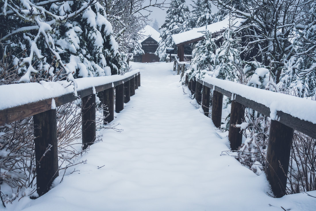 December 09th, 2018 On LeConte