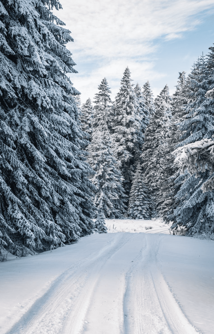 Snow in Tennessee Mountains Time and Places