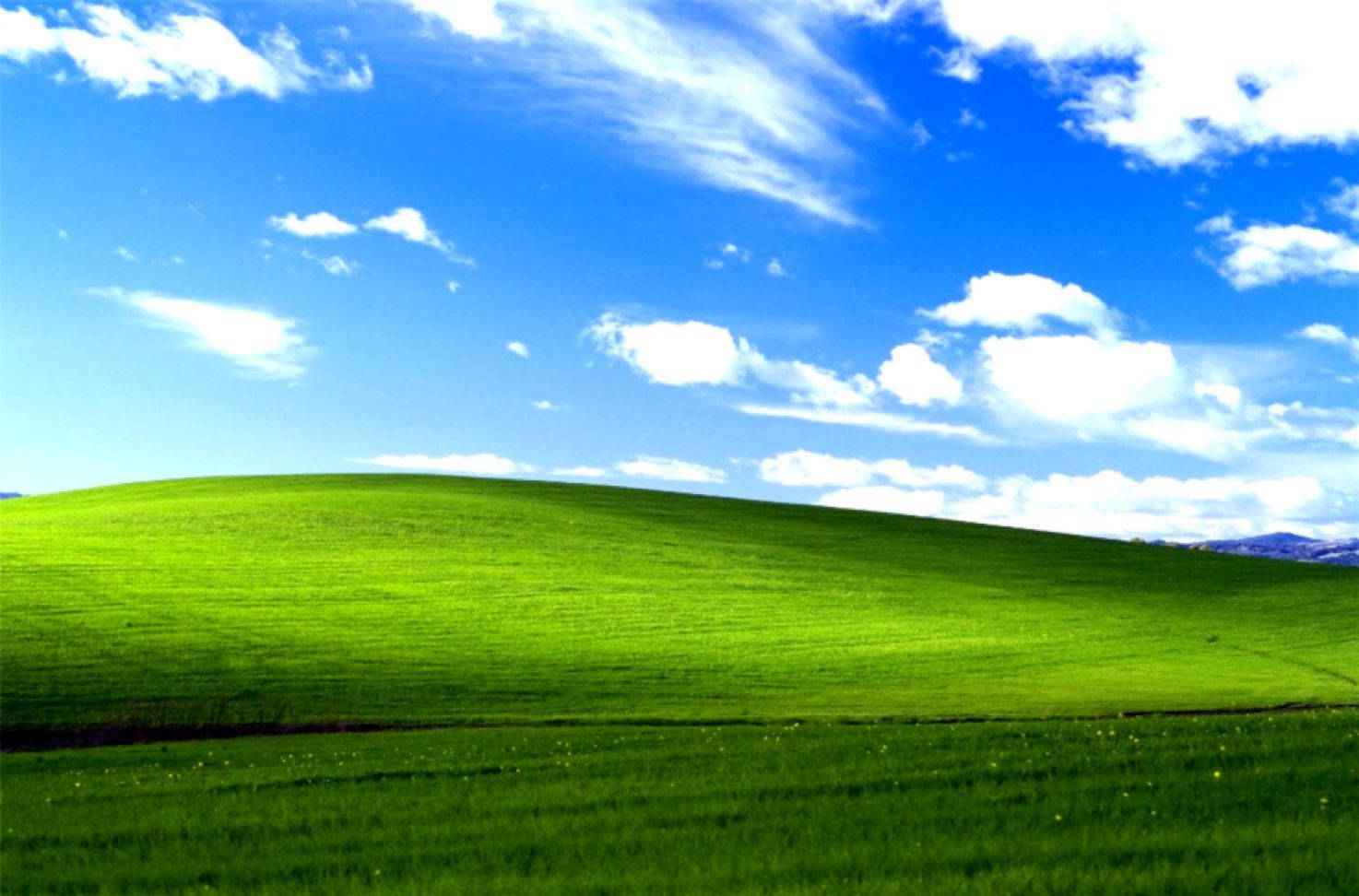 Download Windows 95 Wallpaper