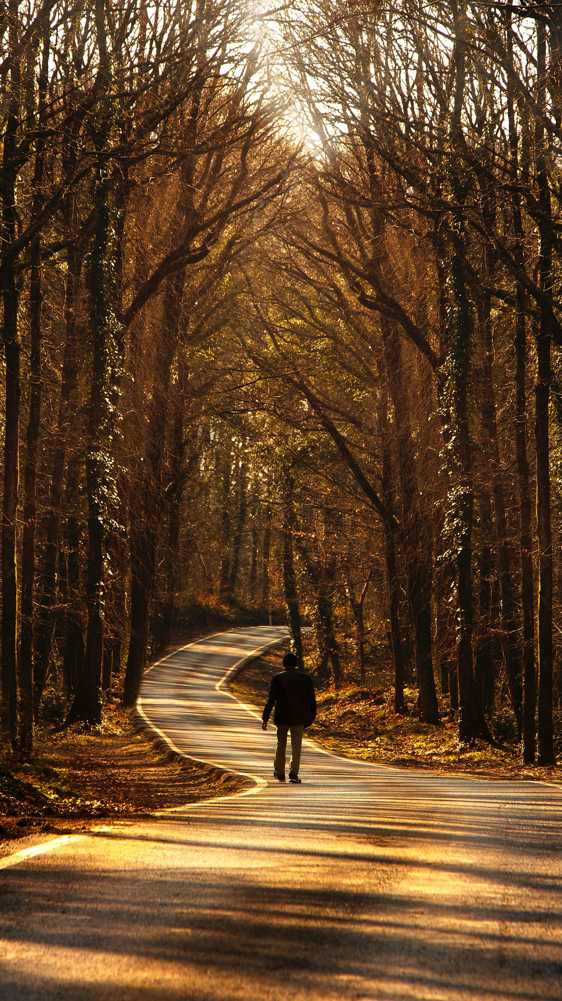 Person Walking on the Road · Free