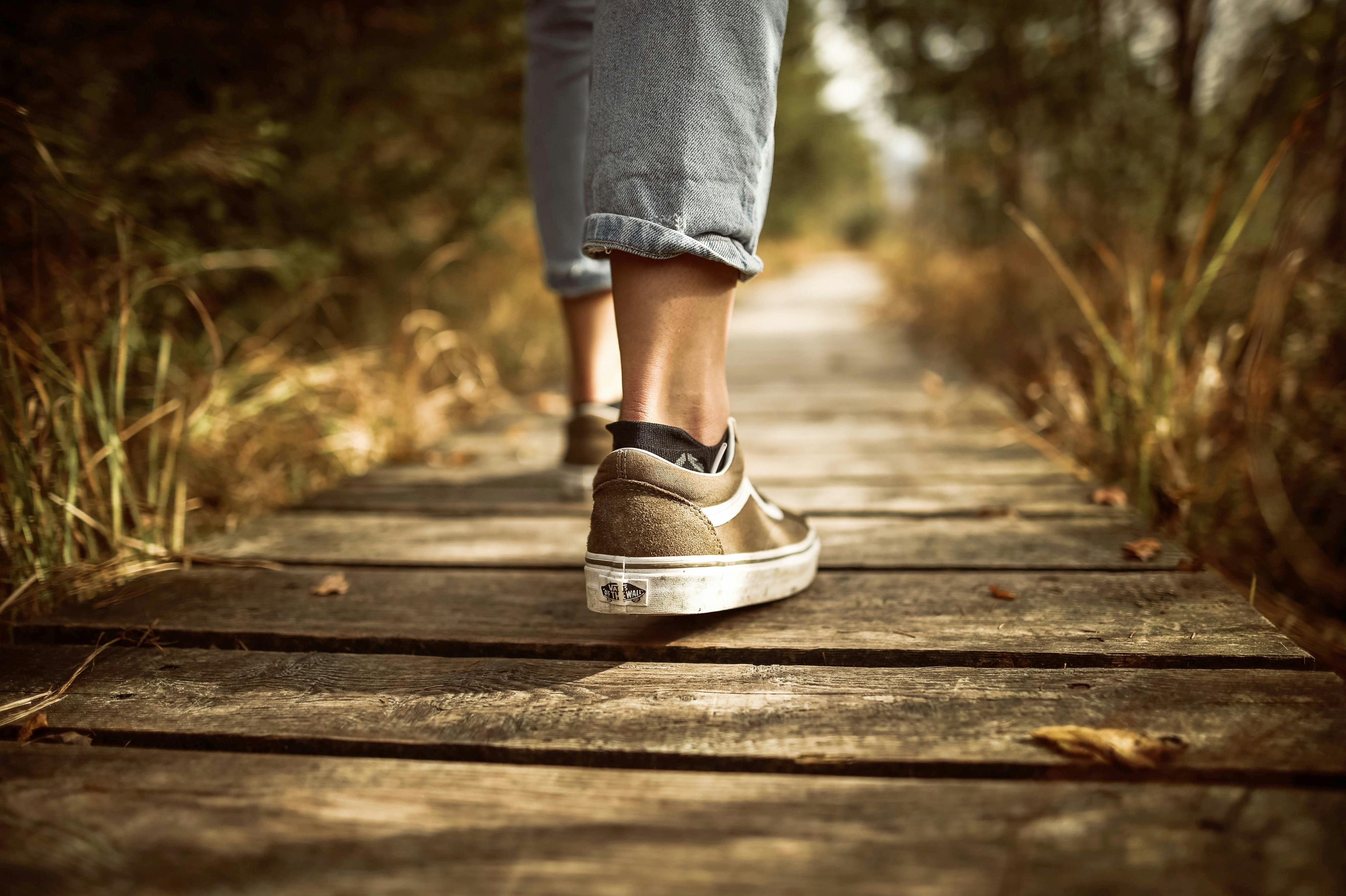 Walking Path Photo, Download The BEST Free Walking Path & HD Image