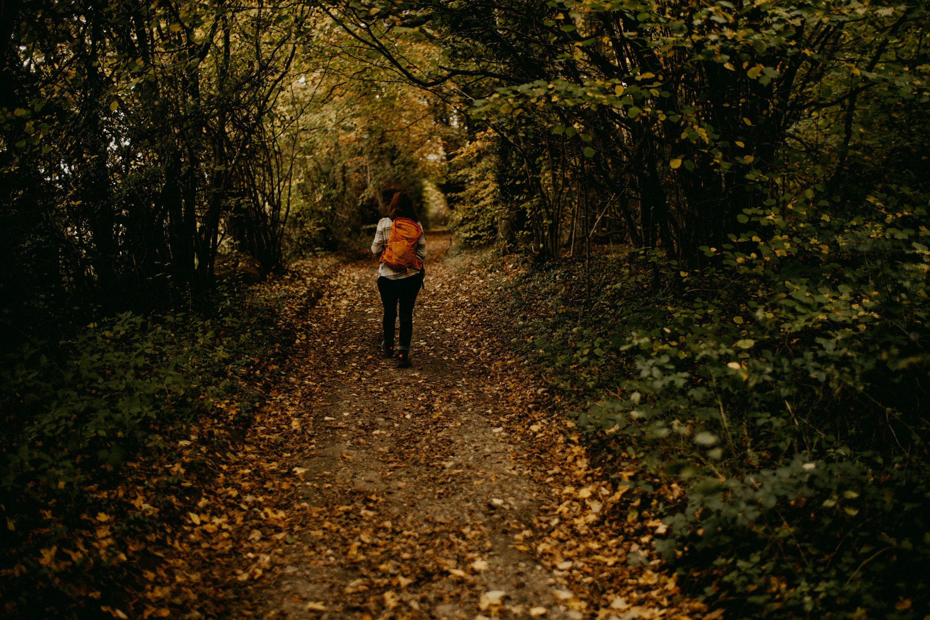 A woman is walking down a path in the woods photo