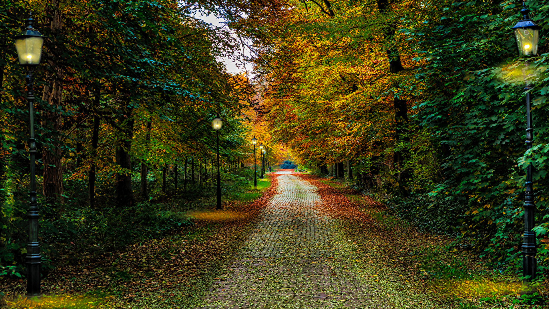 Walk Path Between Yellow Green Autumn Trees Lantern Garden Light HD Nature Wallpaper
