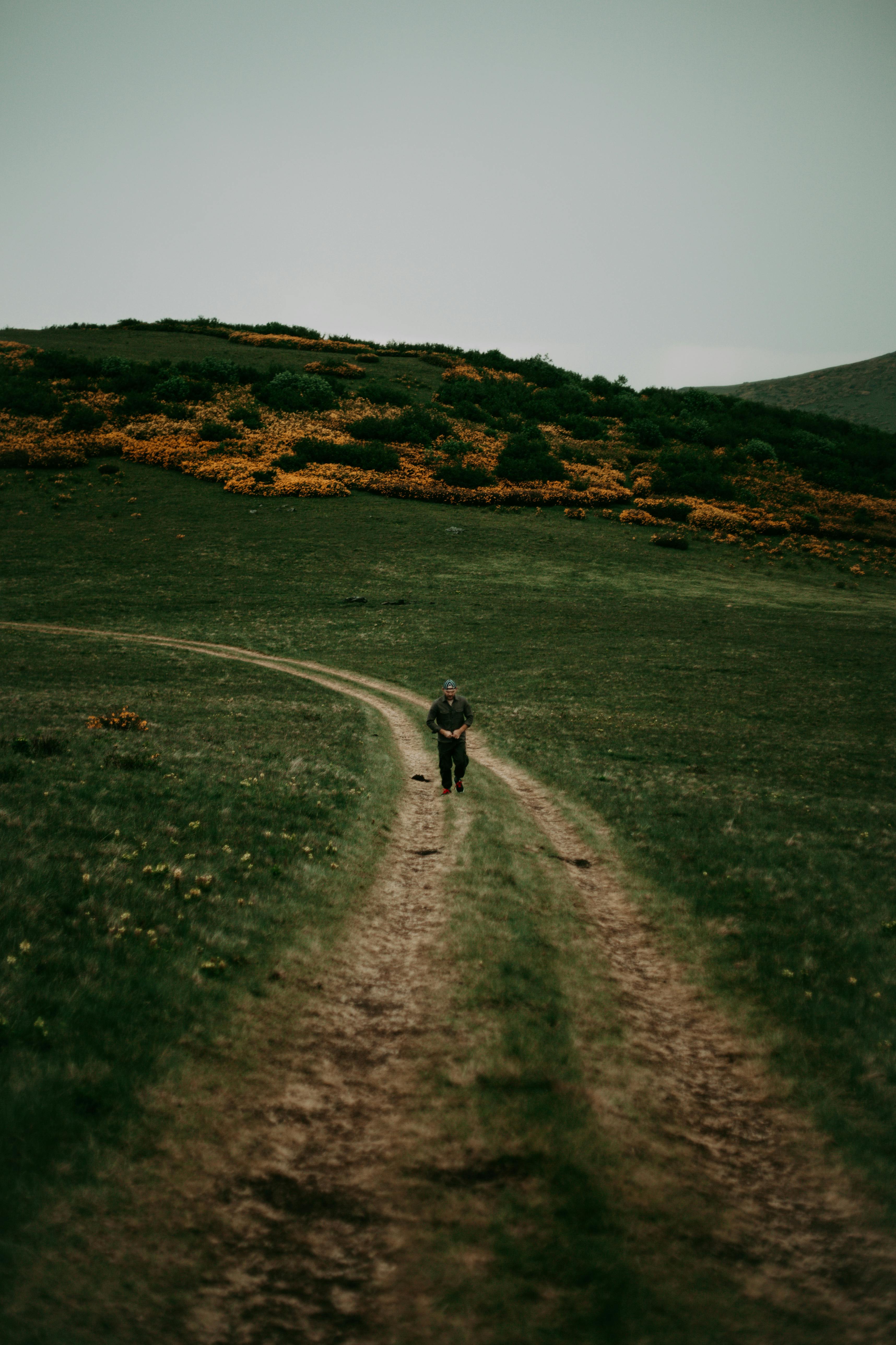 Man Walking on the Road on a Hill · Free