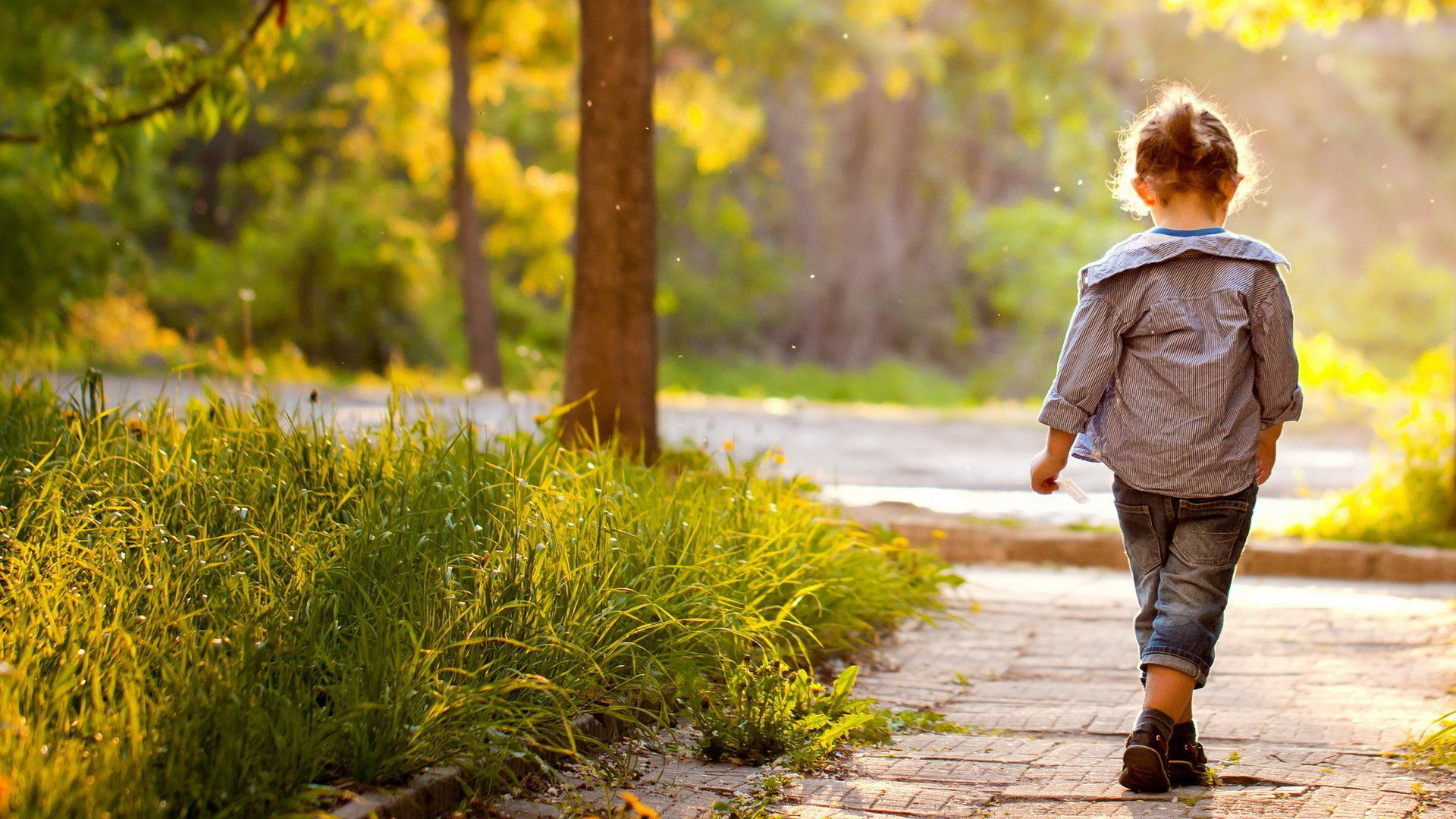 Backside Of Cute Little Girl Is Walking On Path In Nature Background HD Cute Wallpaper