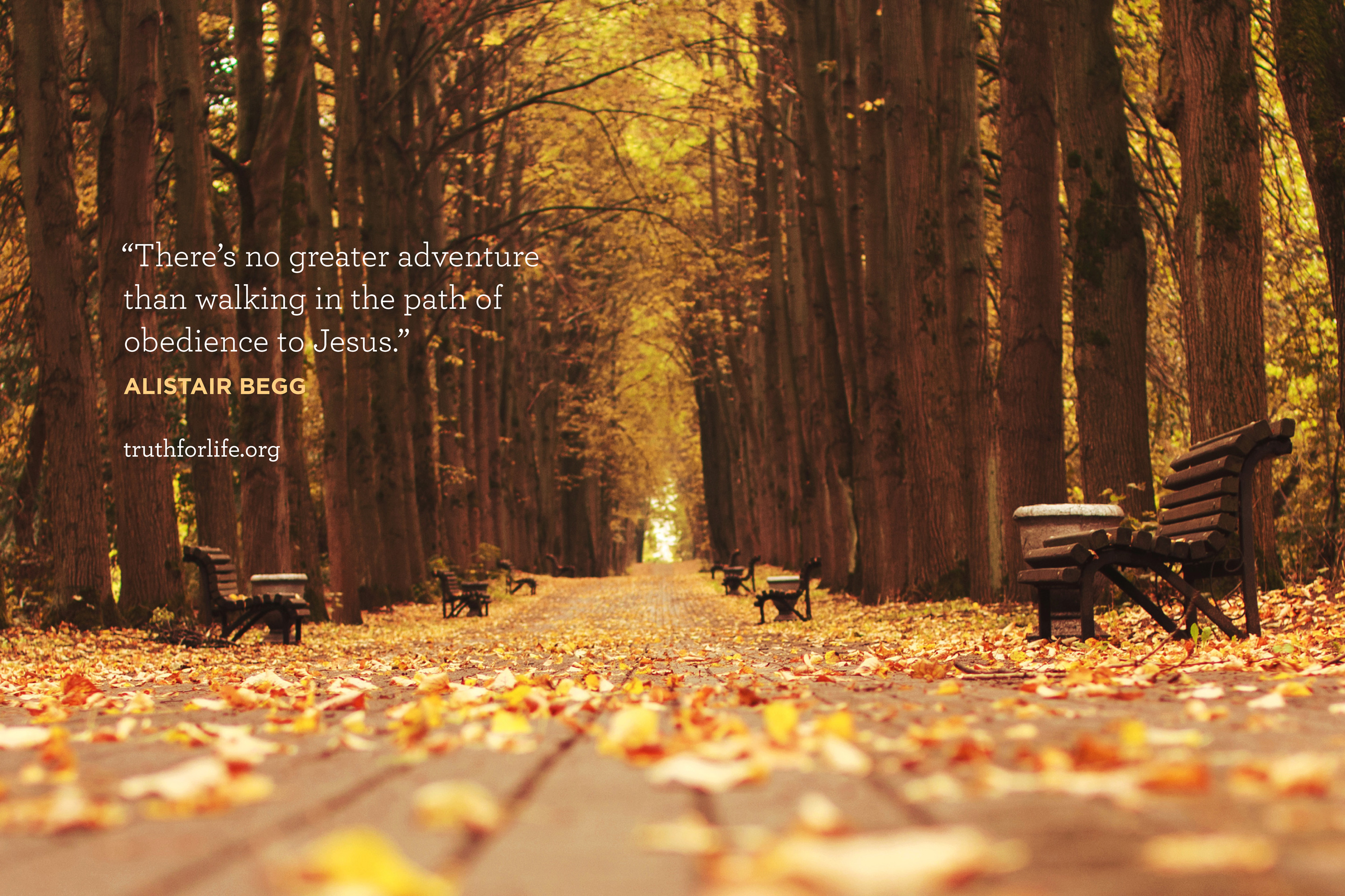 Wallpaper: Walking in the Path