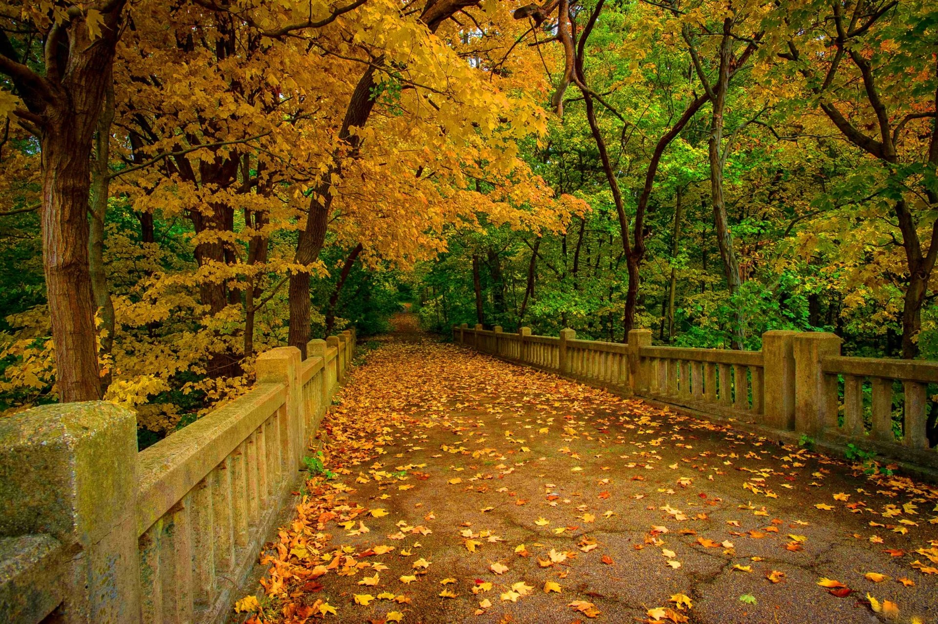 Golden Autumn Walk: Scenic Bridge Pathway in a Vibrant Park HD Wallpaper