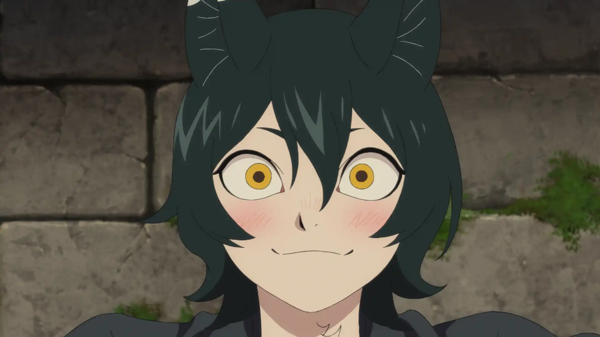 What's your opinion on Izutsumi?