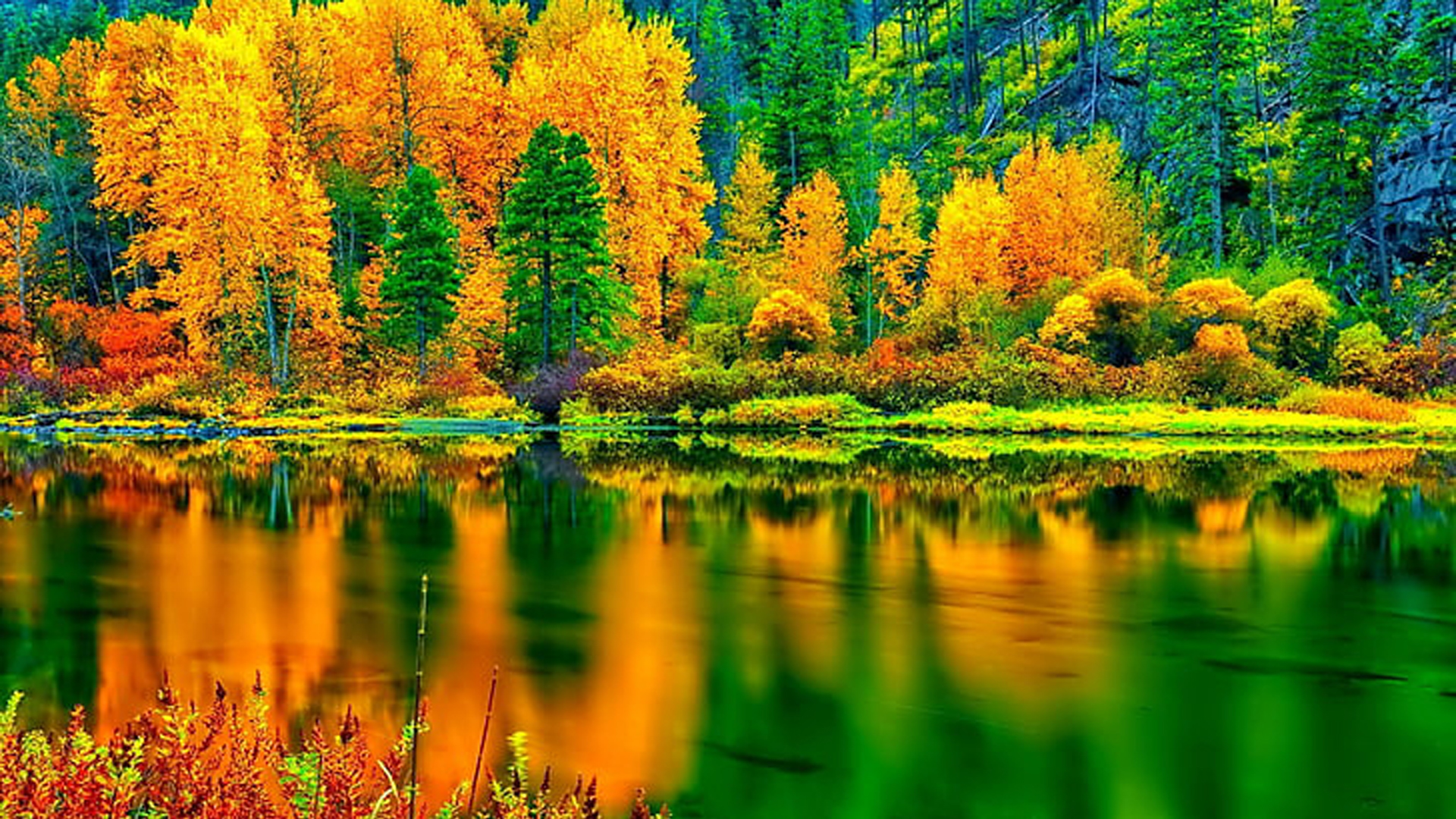 Yellow Green Autumn Leaves Trees Mountain Background Reflection On River HD Autumn Wallpaper