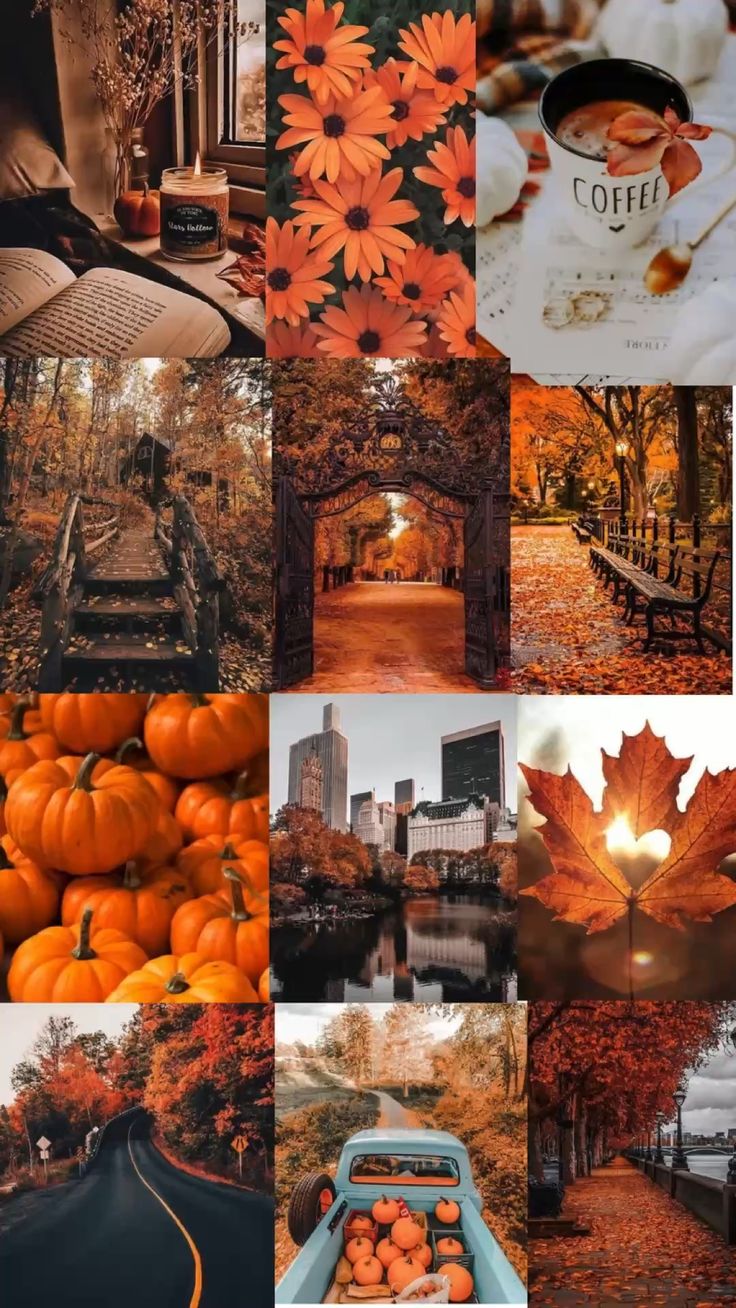 Fall Wallpaper for Phone